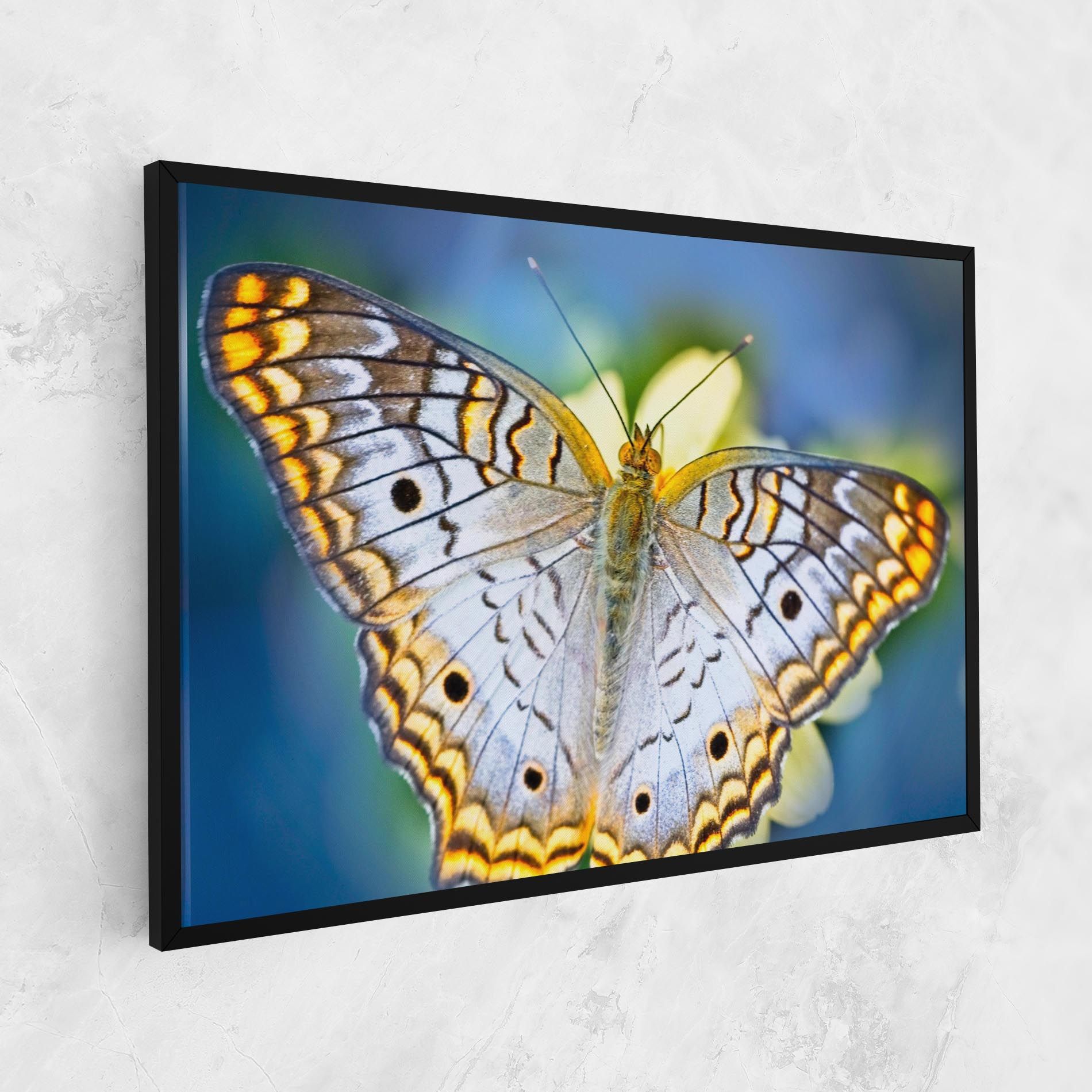 Yellow Grey Butterfly mockup 1