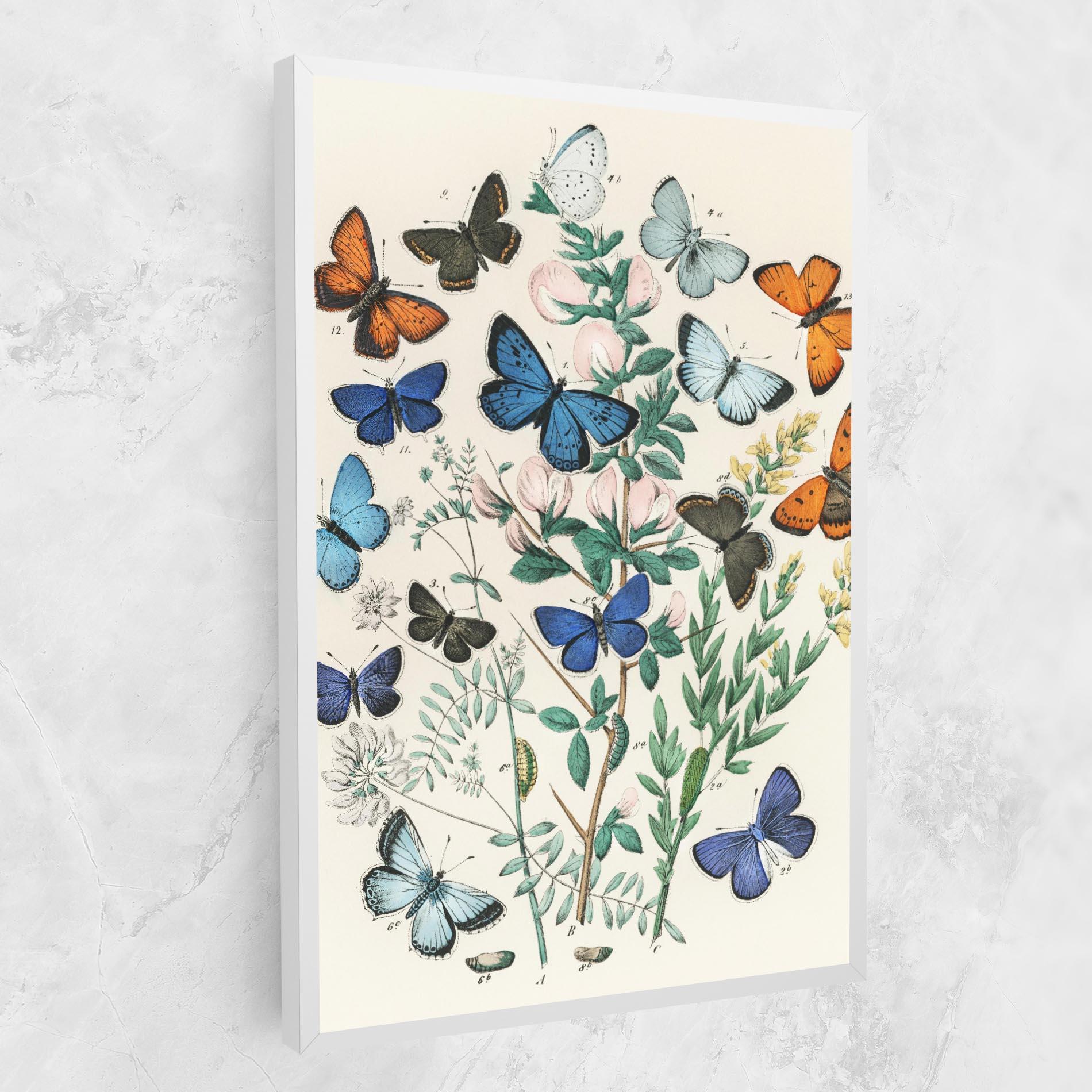 Tablou Canvas Blue Orange Butterflies mockup 1
