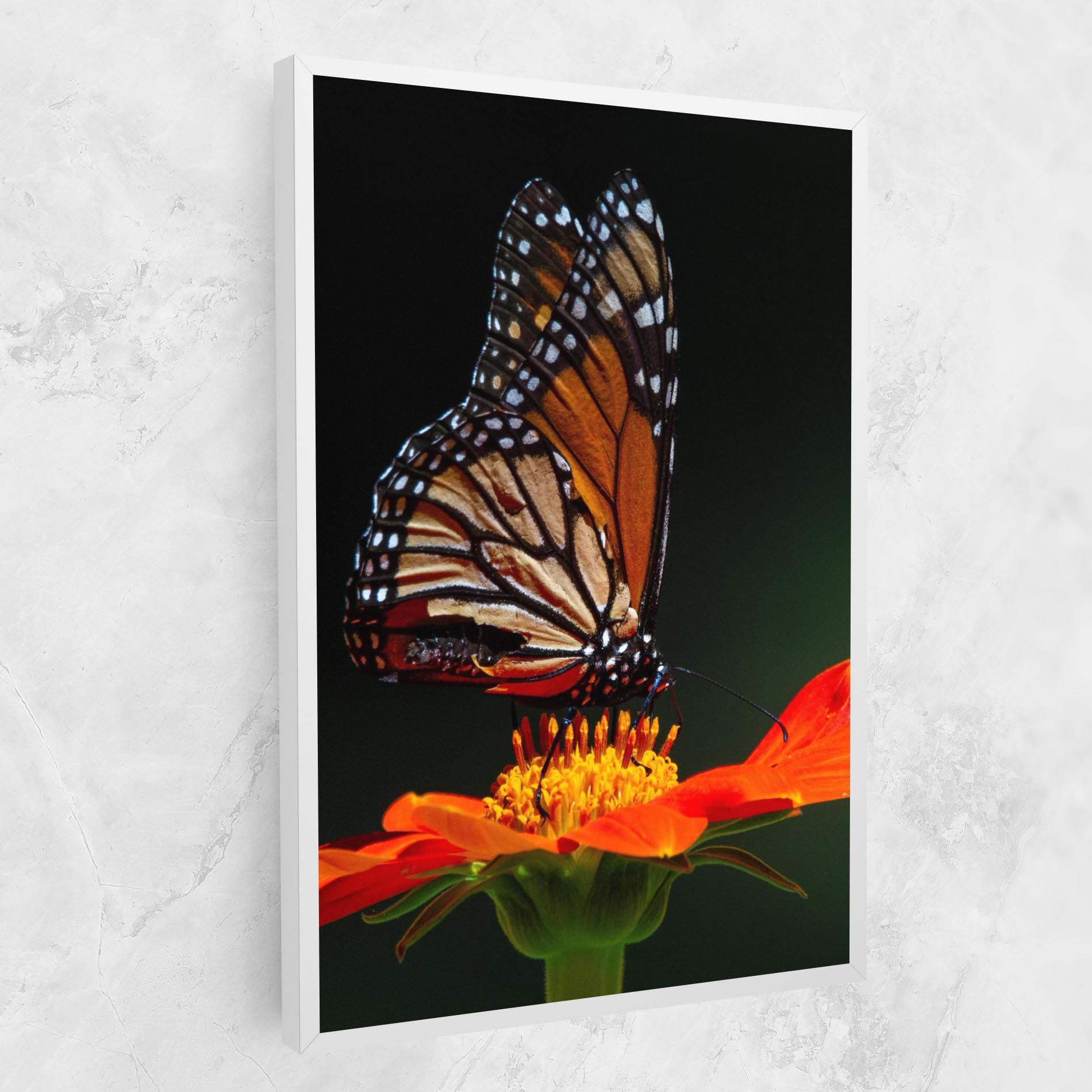 Dark Orange Butterfy mockup 1