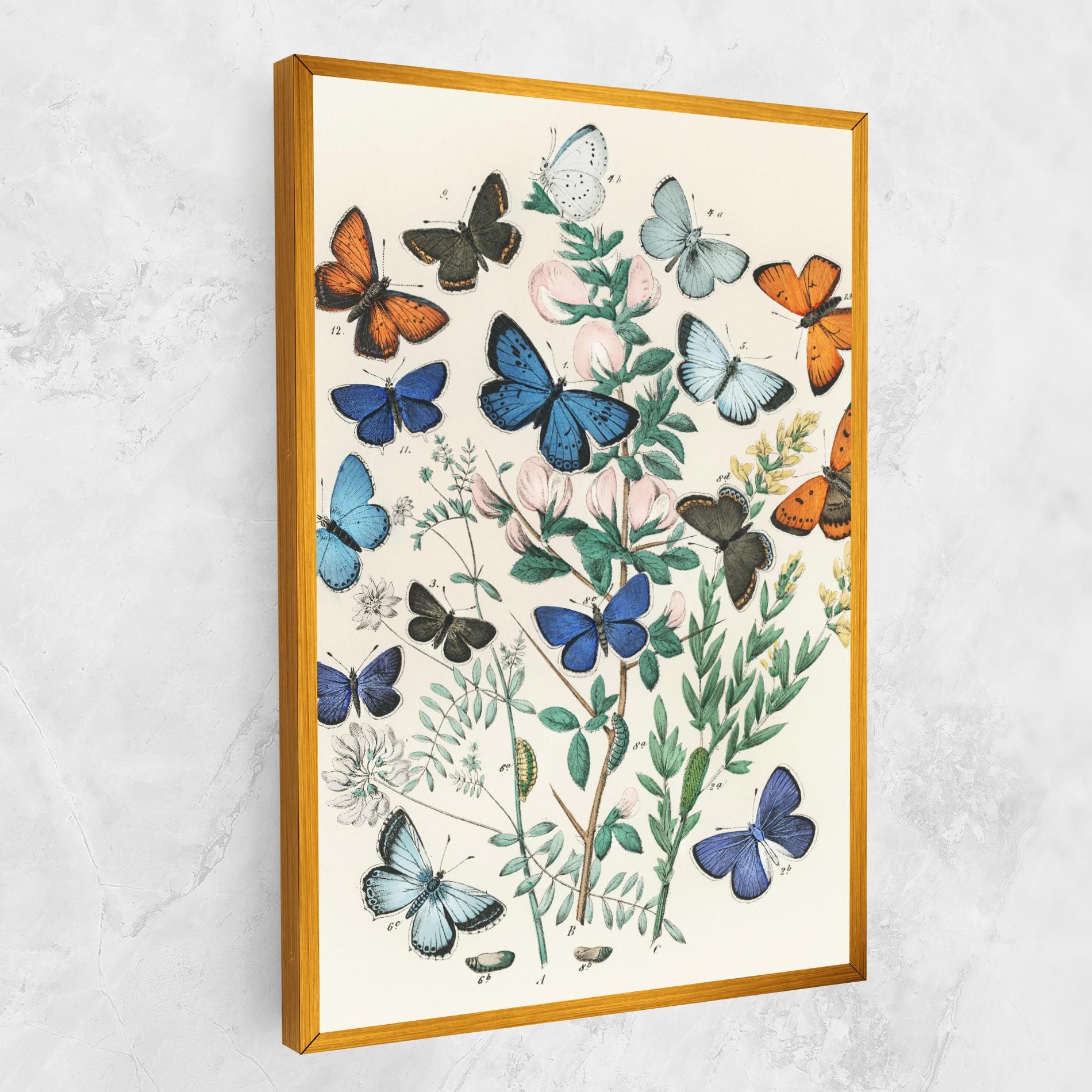 Blue Orange Butterflies mockup 1
