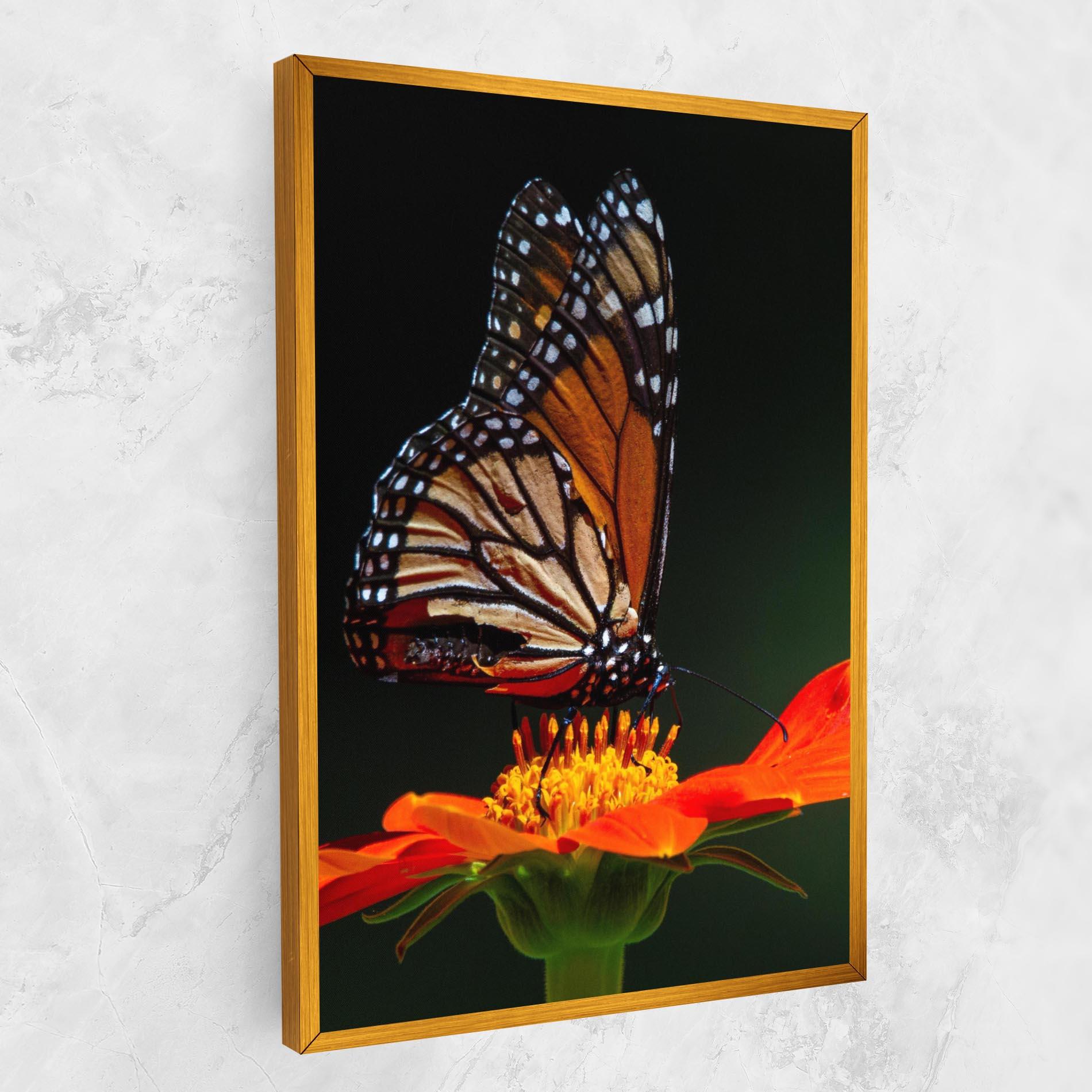 Tablou Canvas Dark Orange Butterfy mockup 1