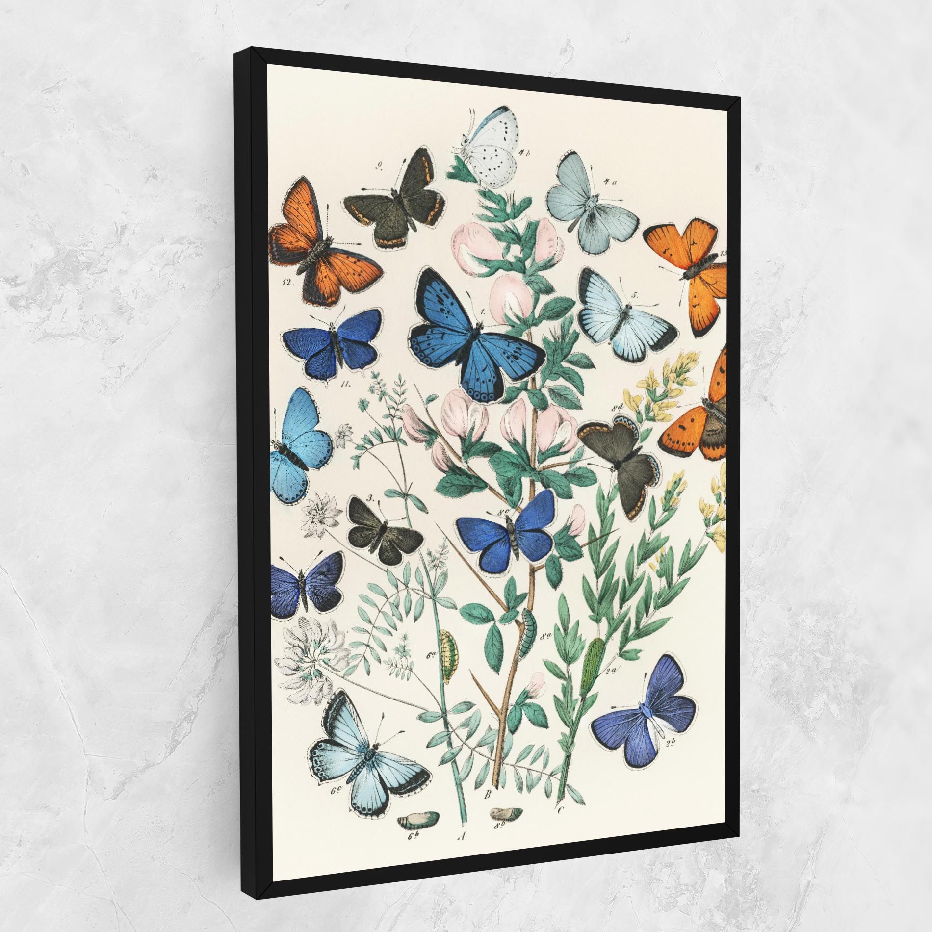 Blue Orange Butterflies mockup 1