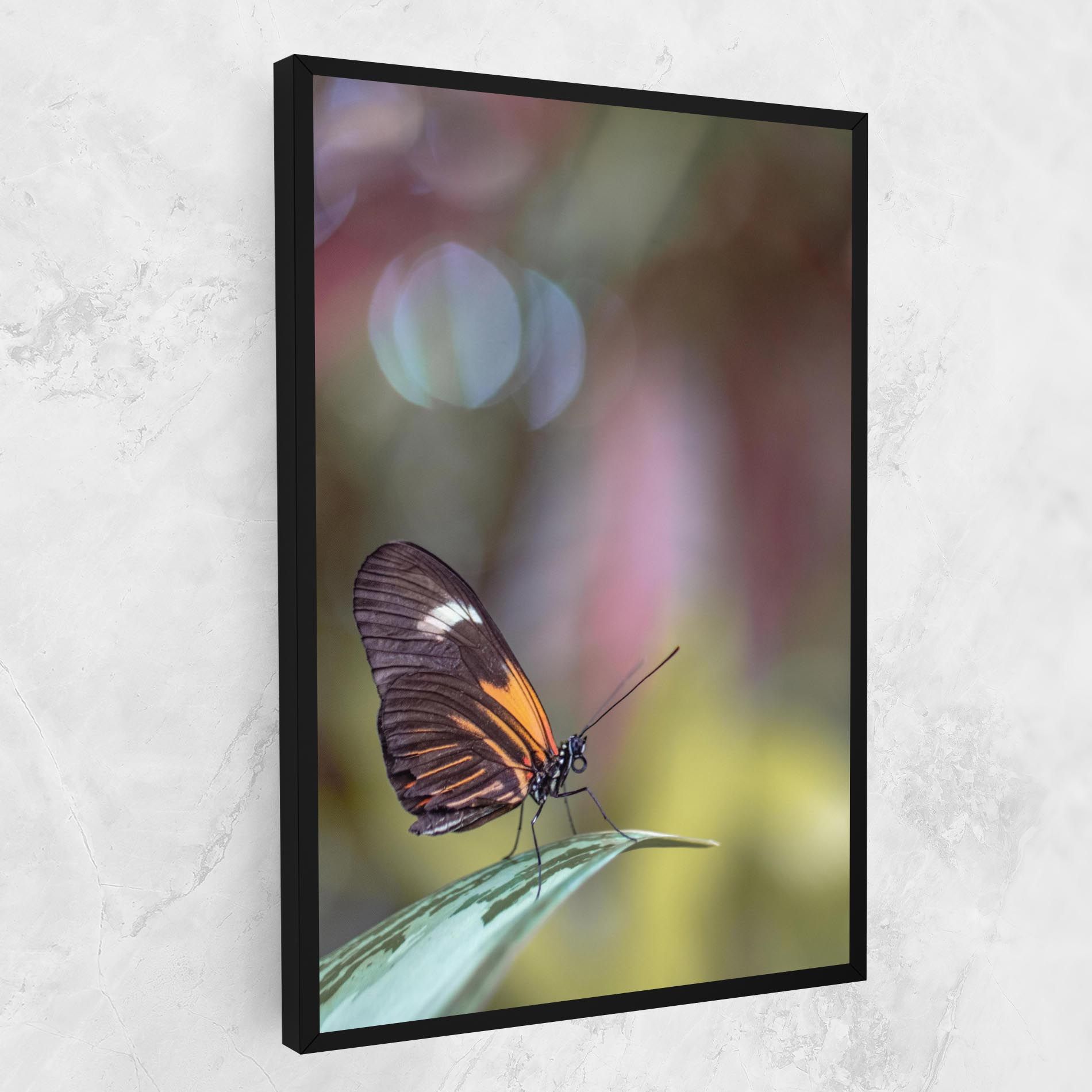 Dark Purple Butterfly mockup 1