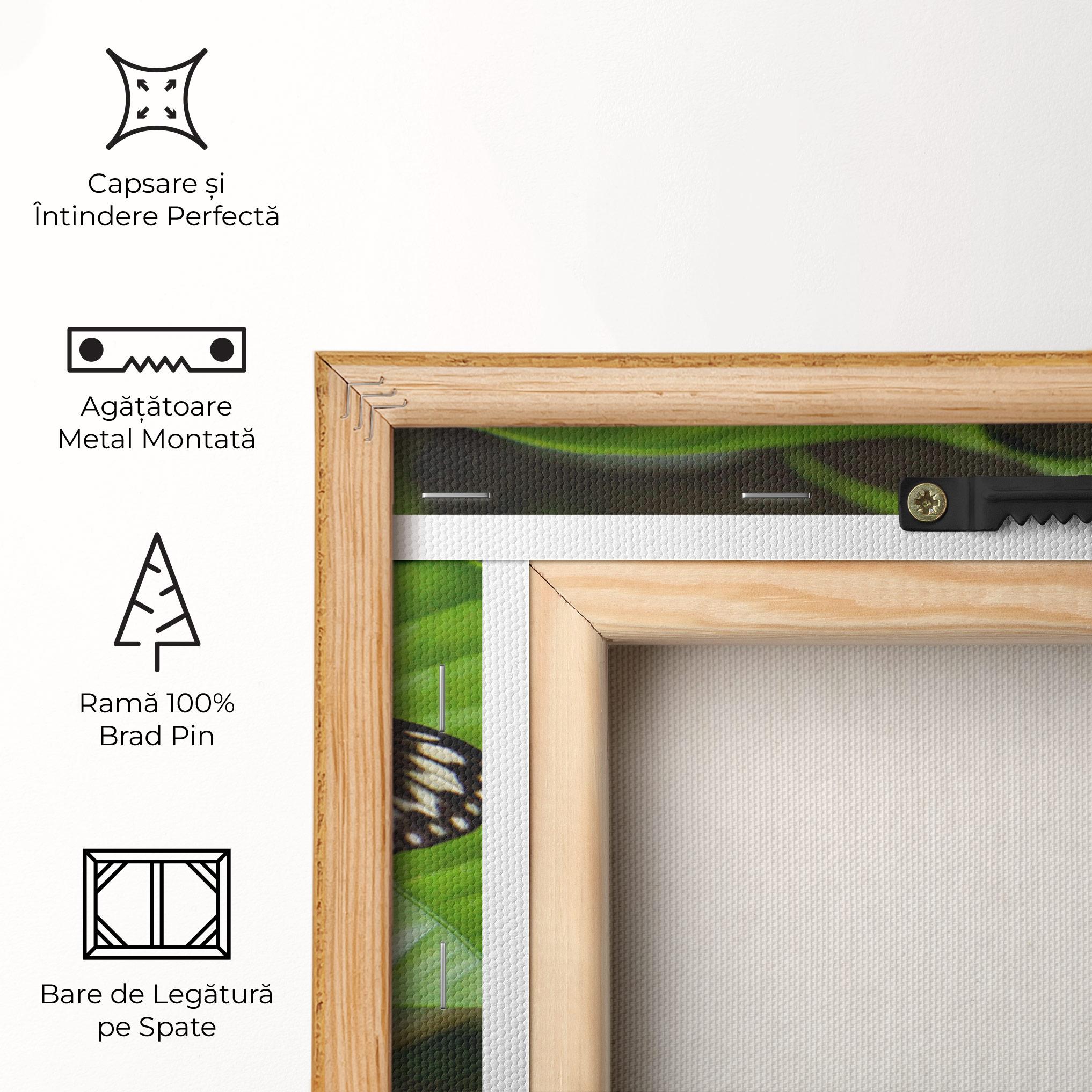 Tablou Canvas Beautiful White Butterfly mockup 5