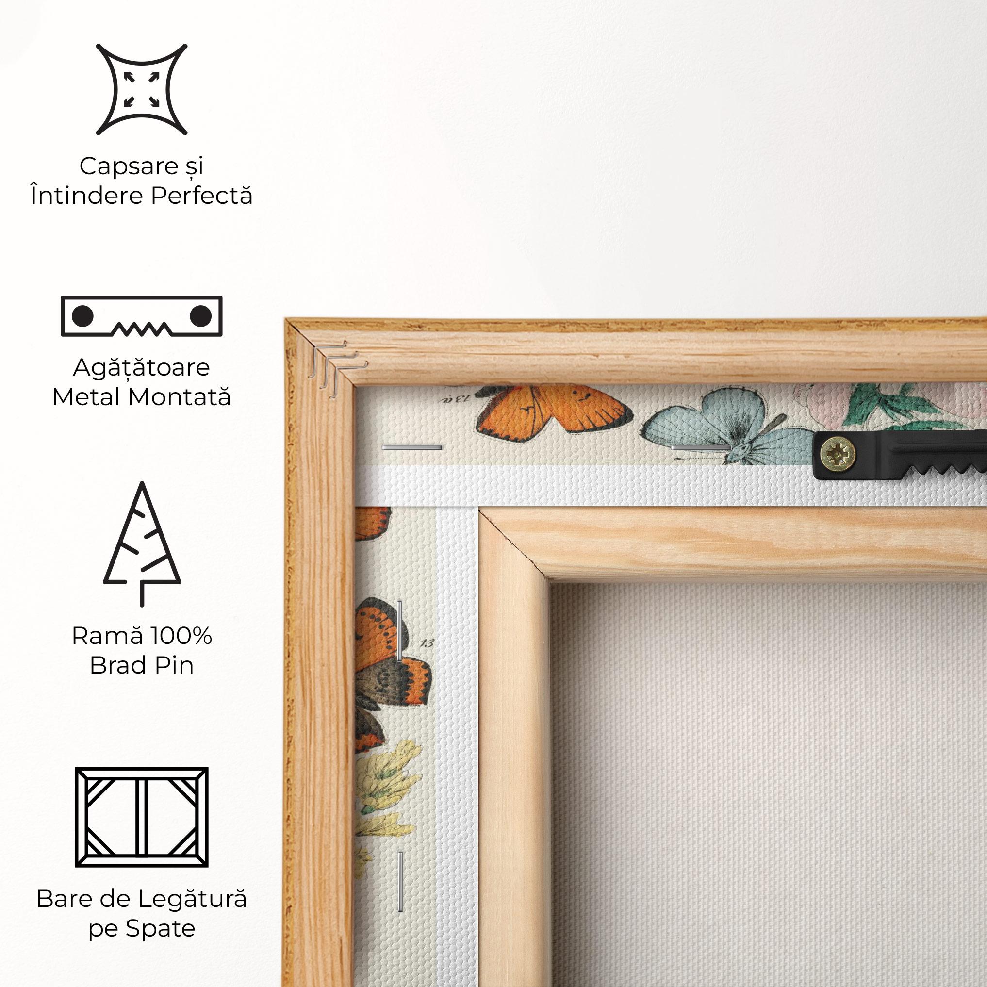 Tablou Canvas Blue Orange Butterflies mockup 5