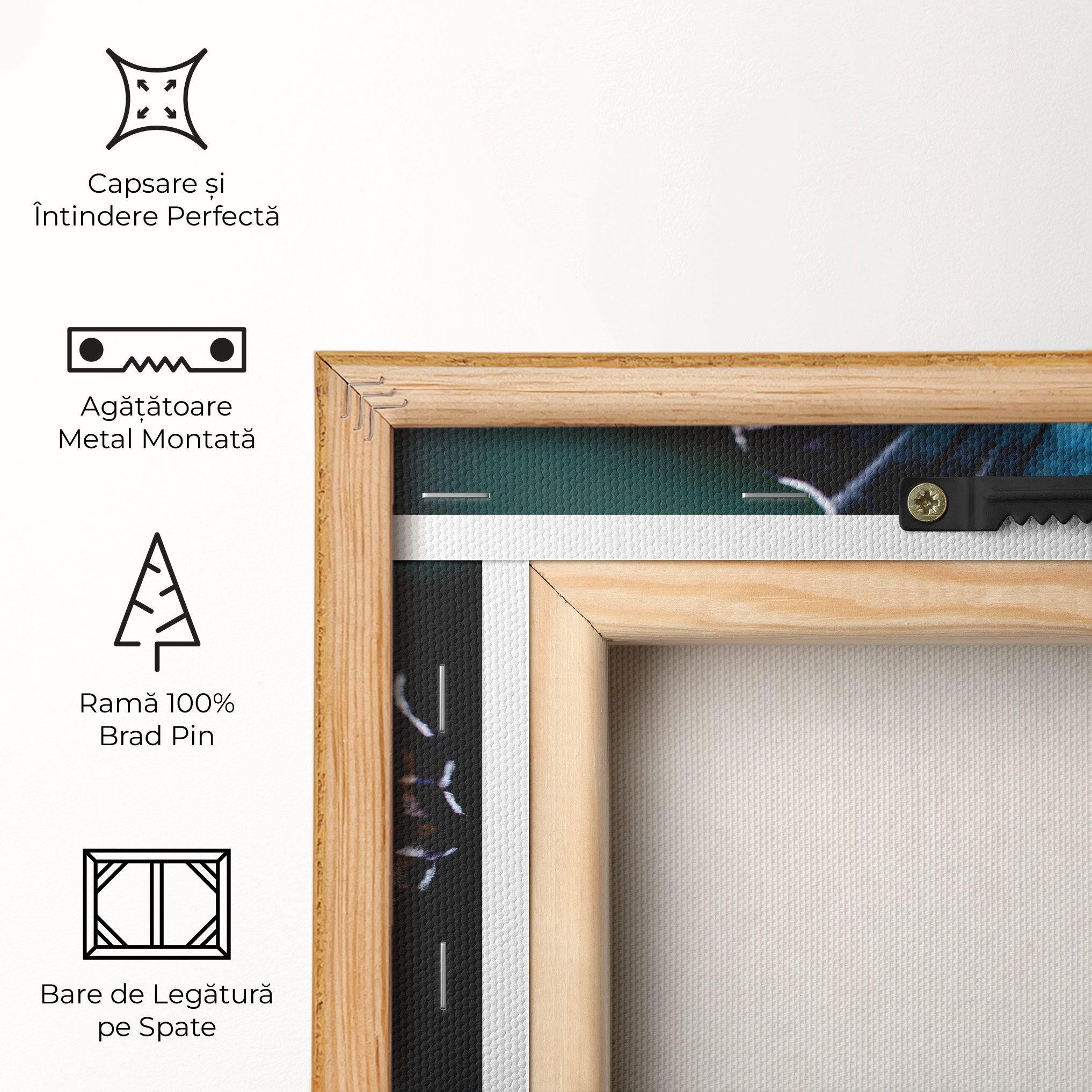 Blue Red Butterfly mockup 5