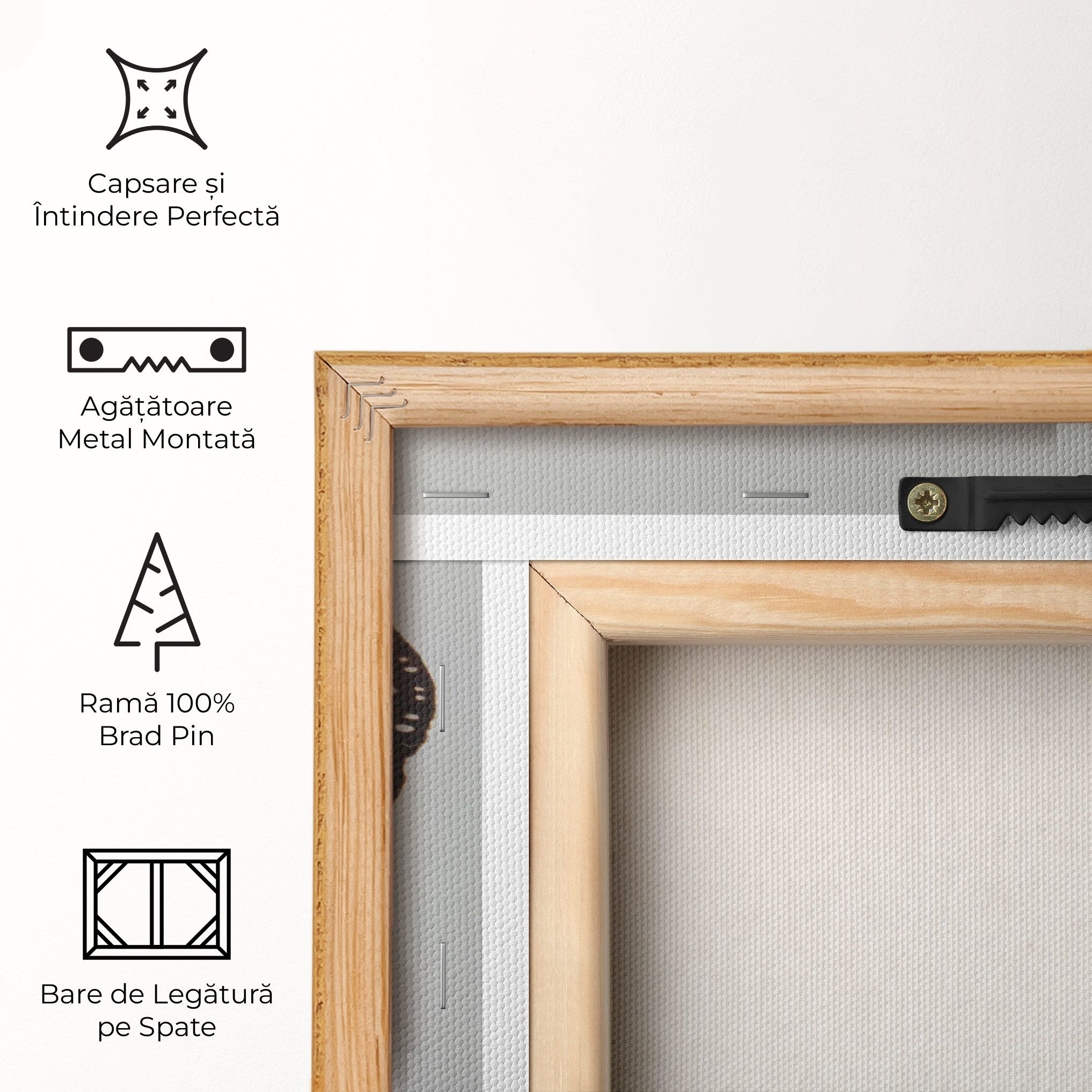 Butterfly On Grey mockup 5