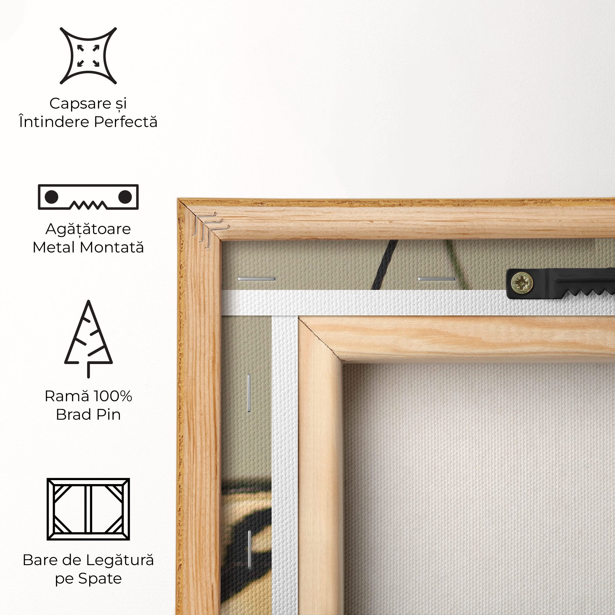 Close Up Cream Butterfly mockup 5