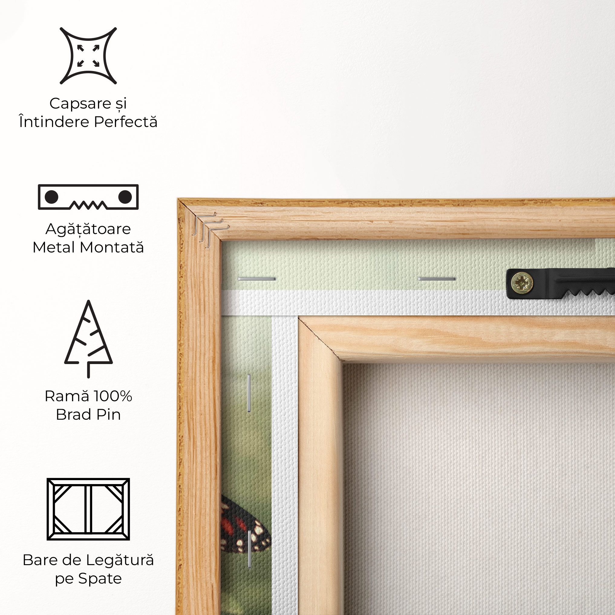 Light Red Butterfly mockup 5