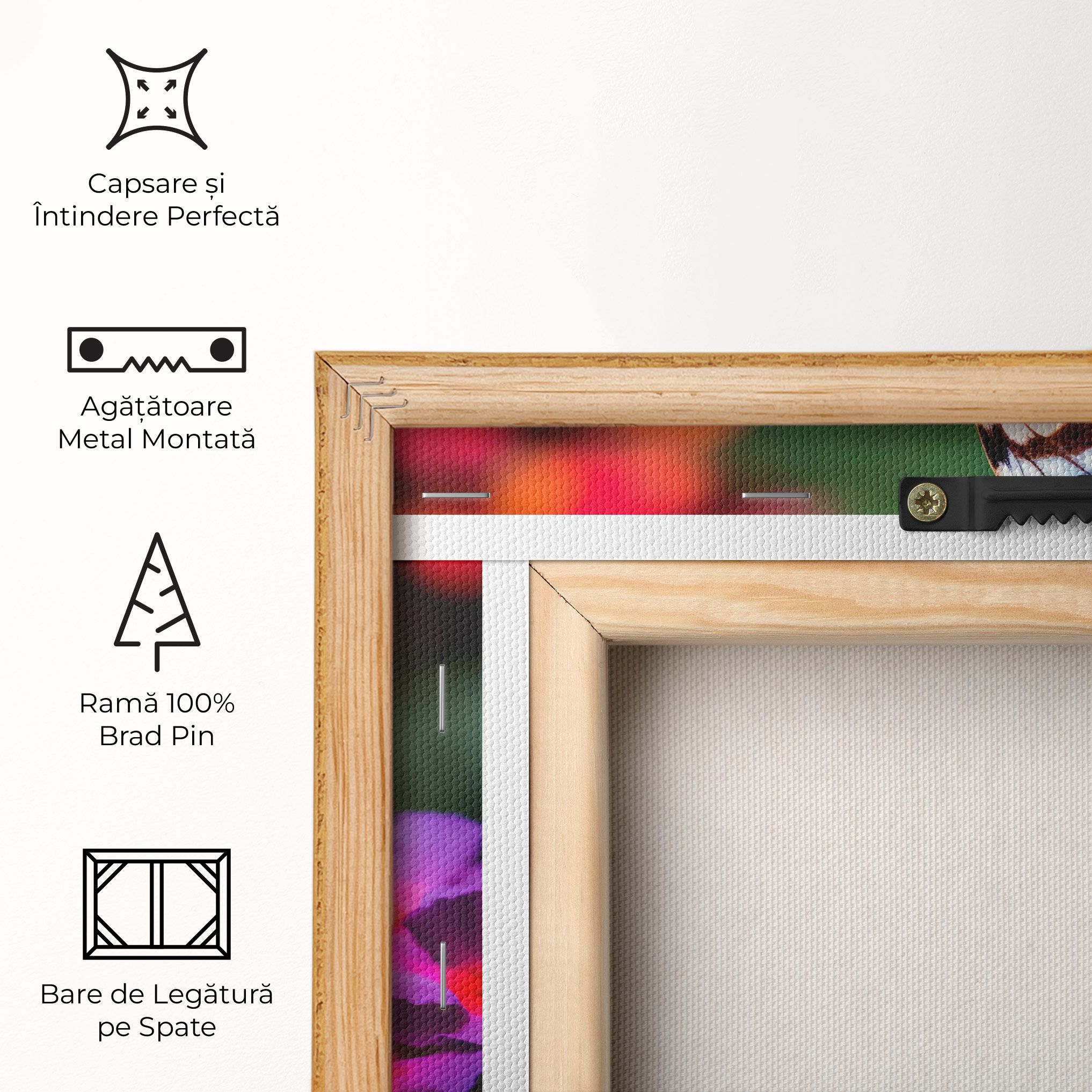 Red Blue Butterfly mockup 5