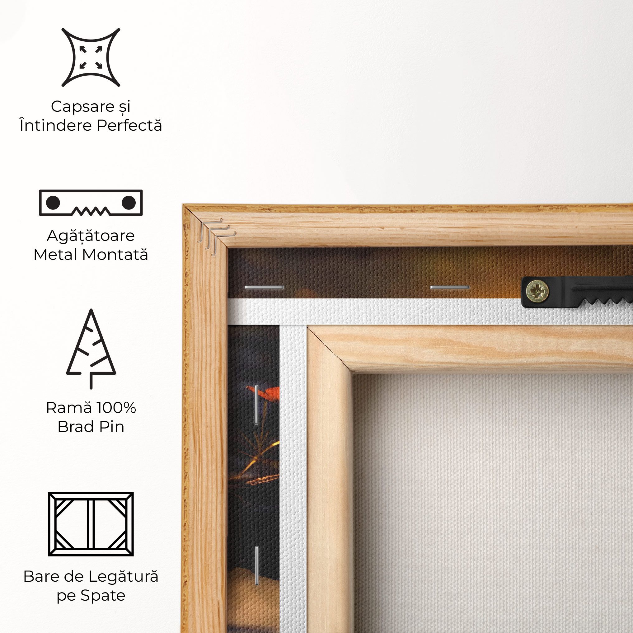 Sun Water Butterfly mockup 5