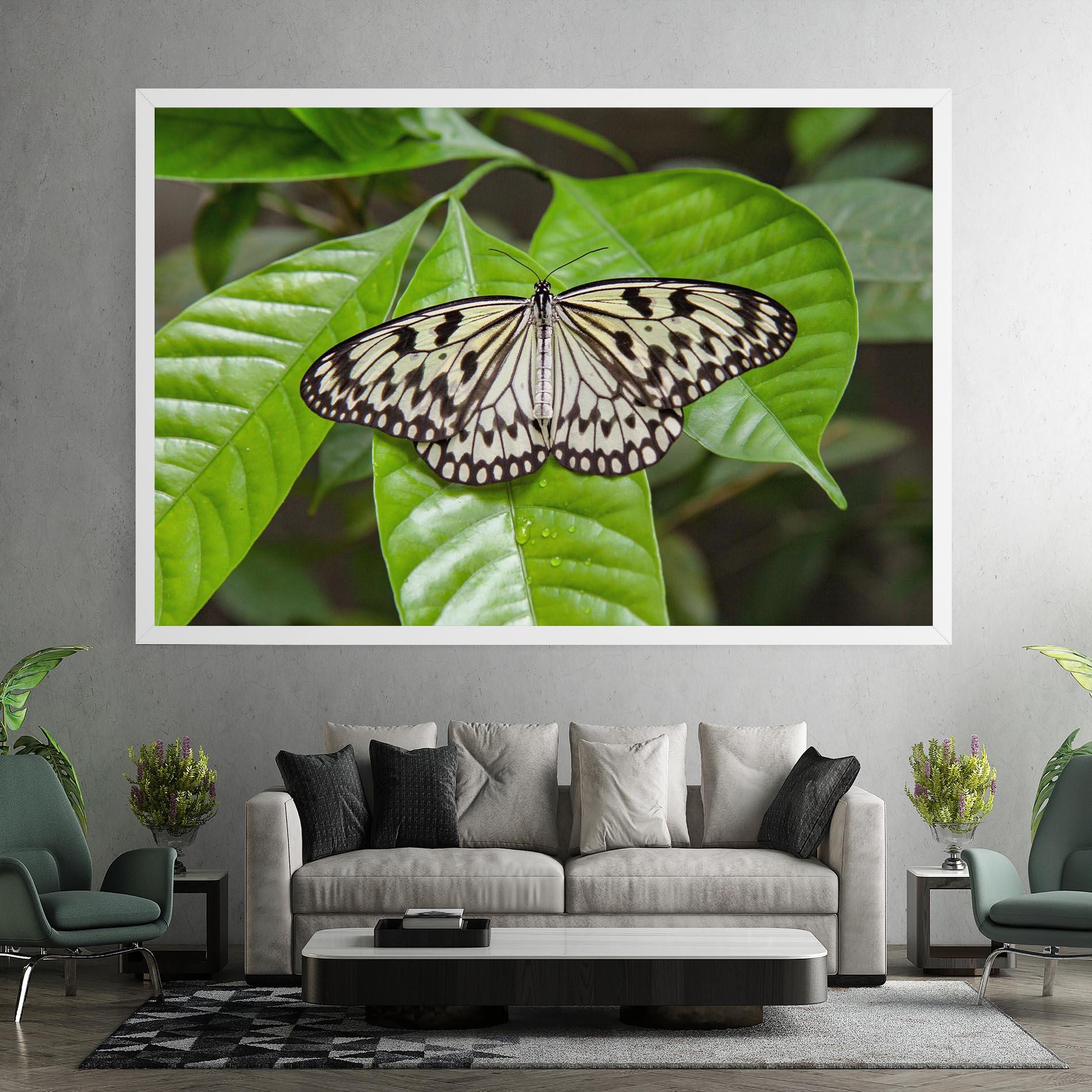 Tablou Canvas Beautiful White Butterfly mockup 7