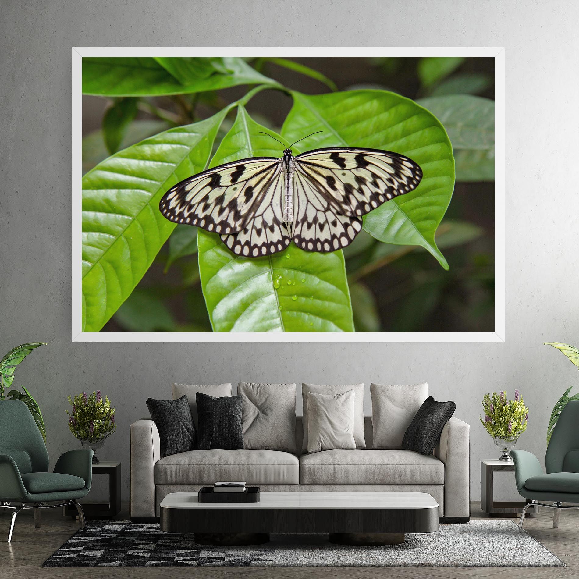 Beautiful White Butterfly mockup 7