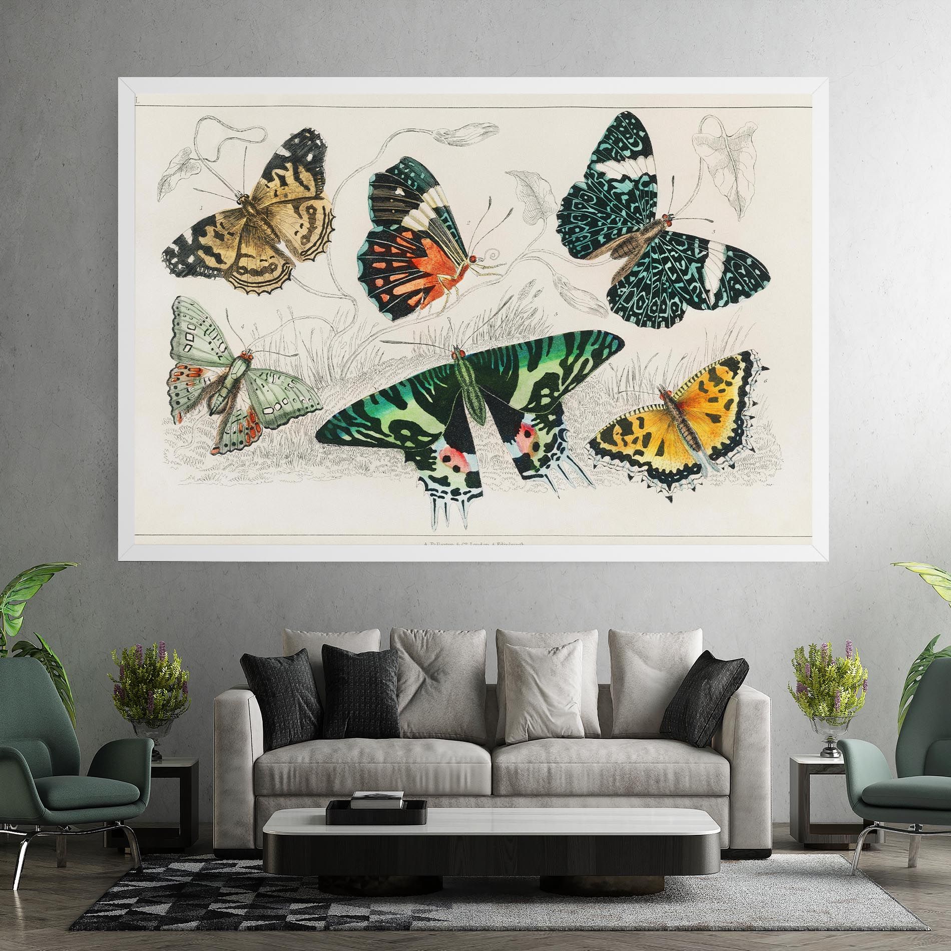 Butterfly Art mockup 7