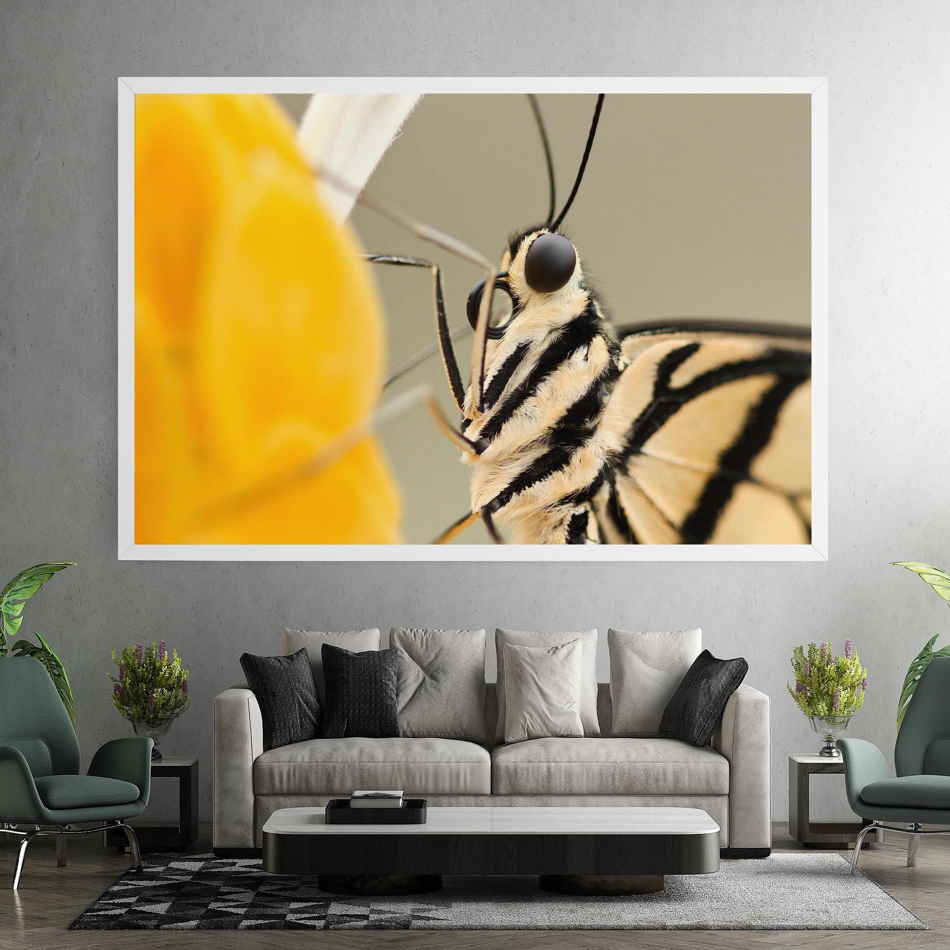 Close Up Cream Butterfly mockup 7