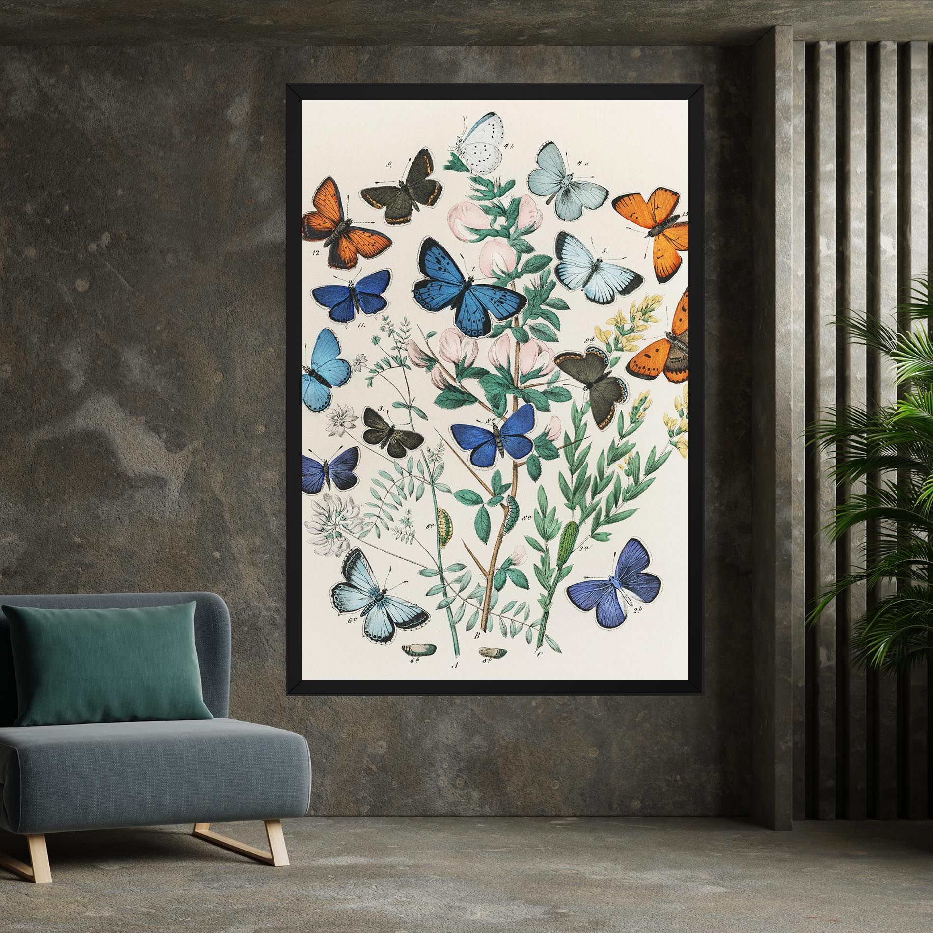 Blue Orange Butterflies mockup 7