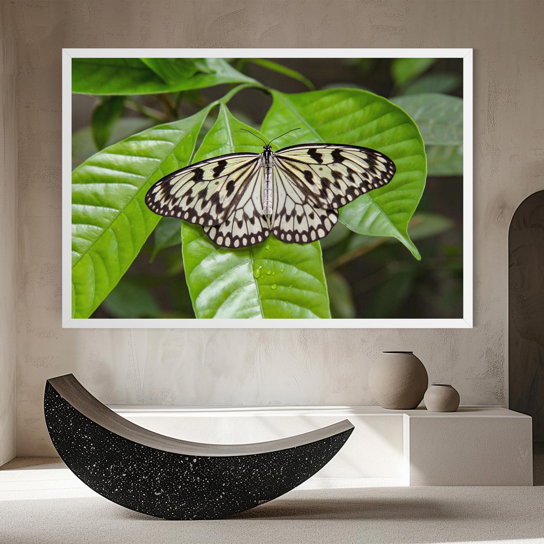 Tablou Canvas Beautiful White Butterfly mockup 8