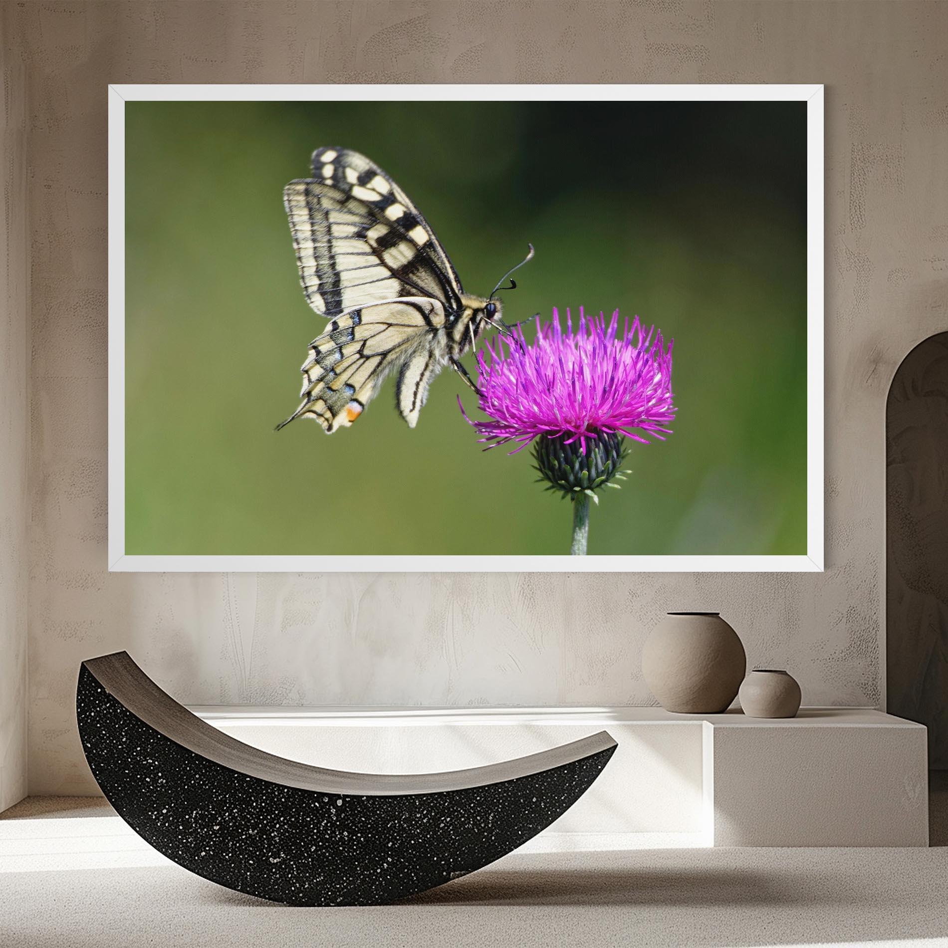 Tablou Canvas White Butterfly Pollen mockup 8