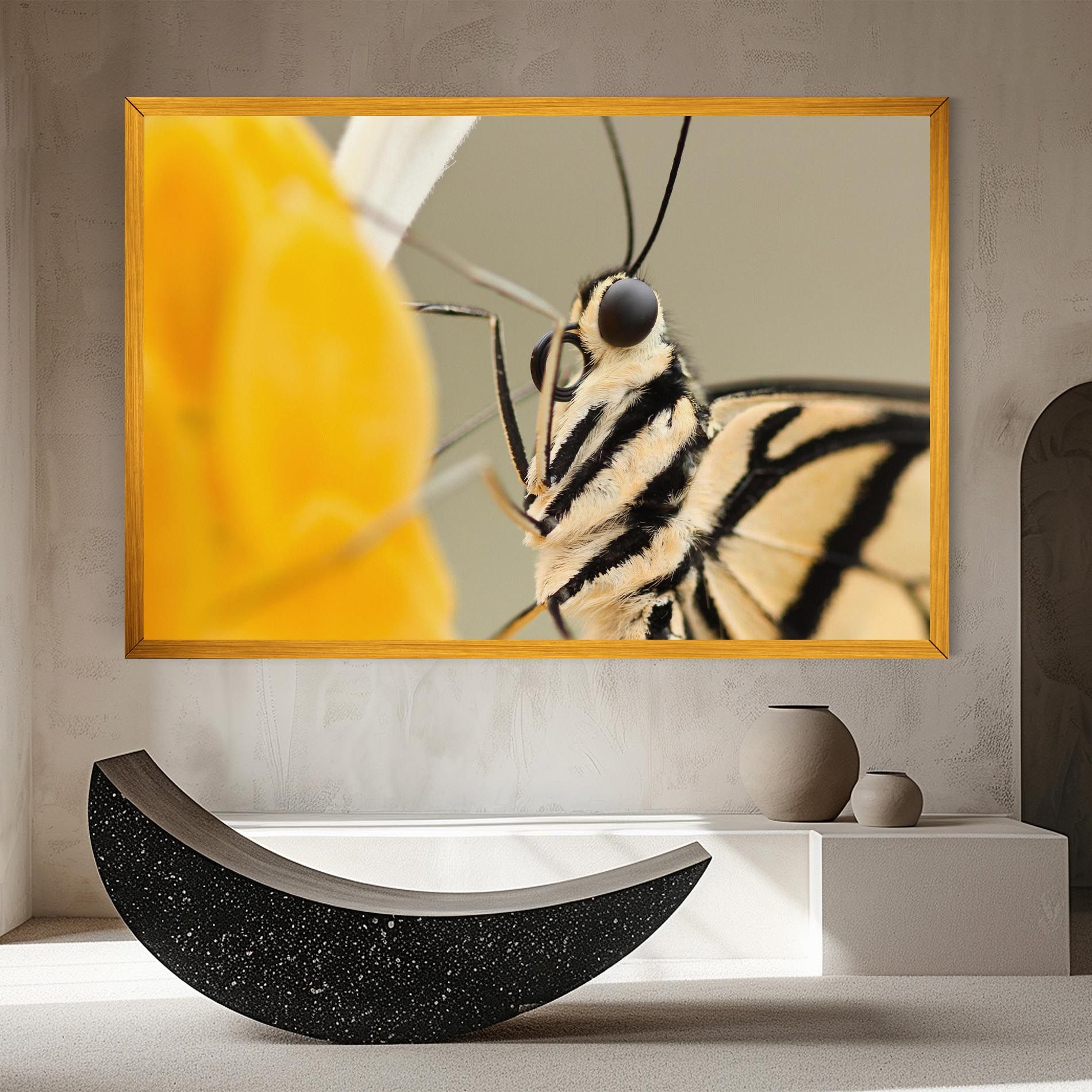 Close Up Cream Butterfly mockup 8