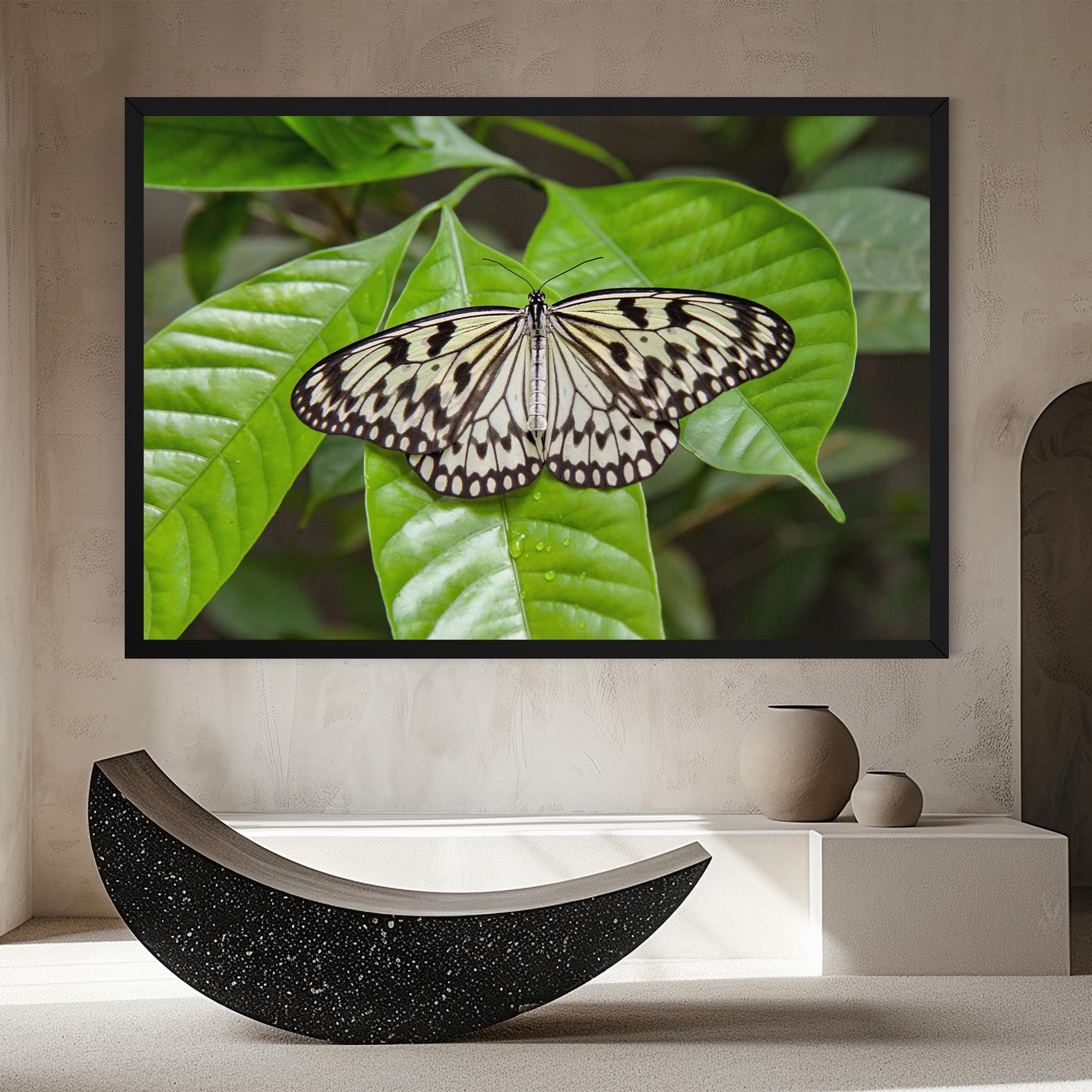 Beautiful White Butterfly mockup 8