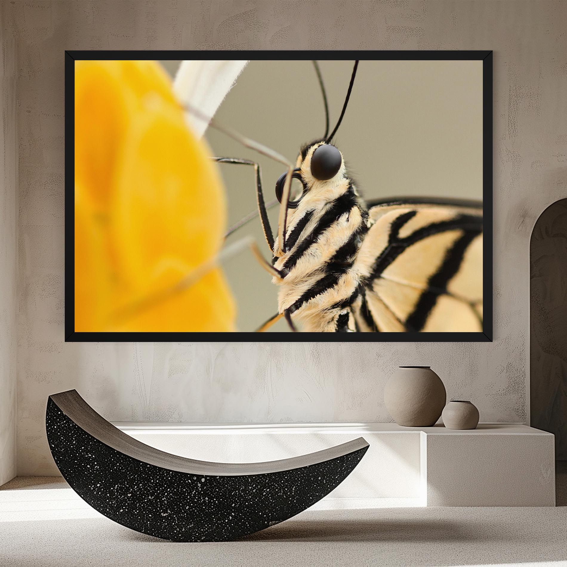 Close Up Cream Butterfly mockup 8