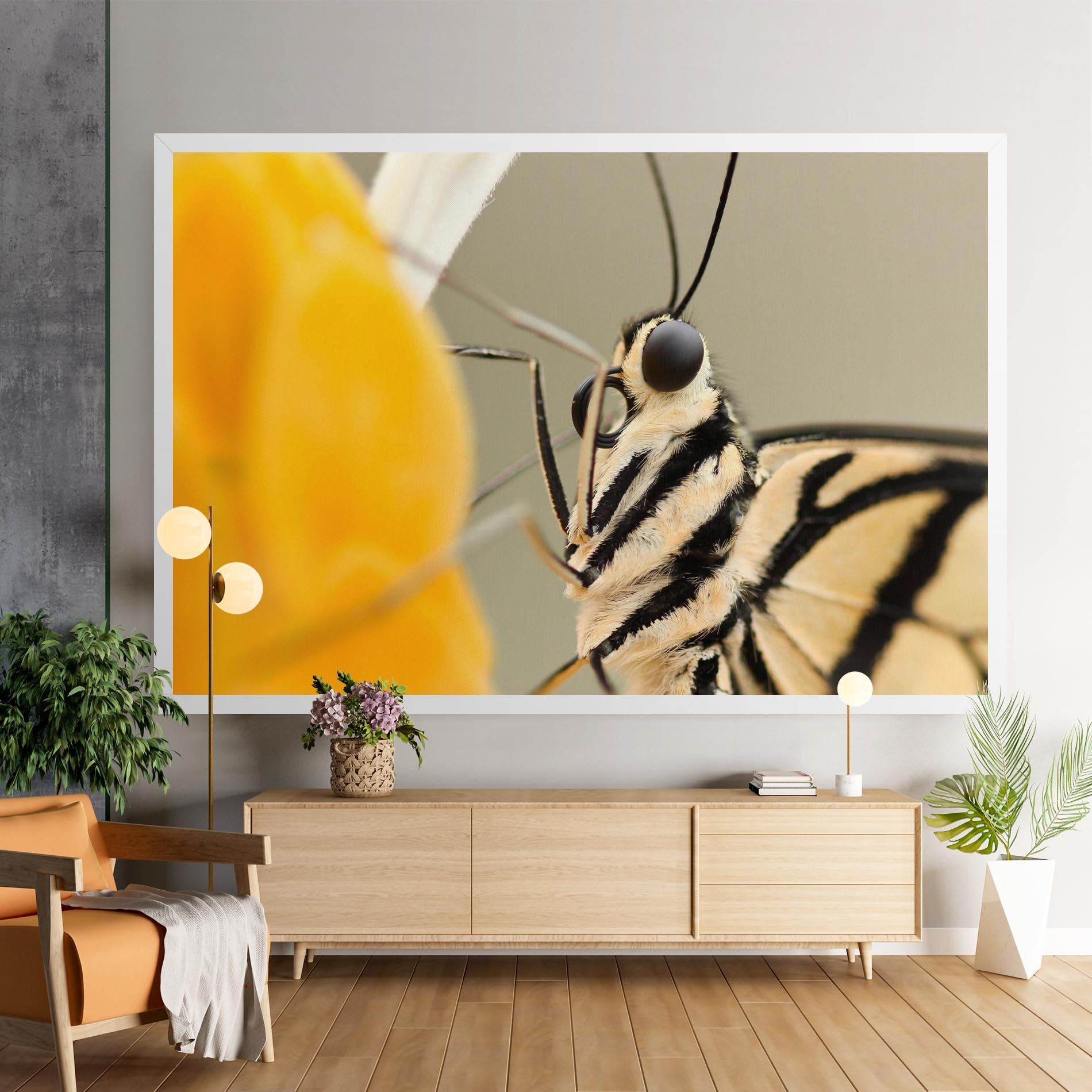 Close Up Cream Butterfly mockup 9