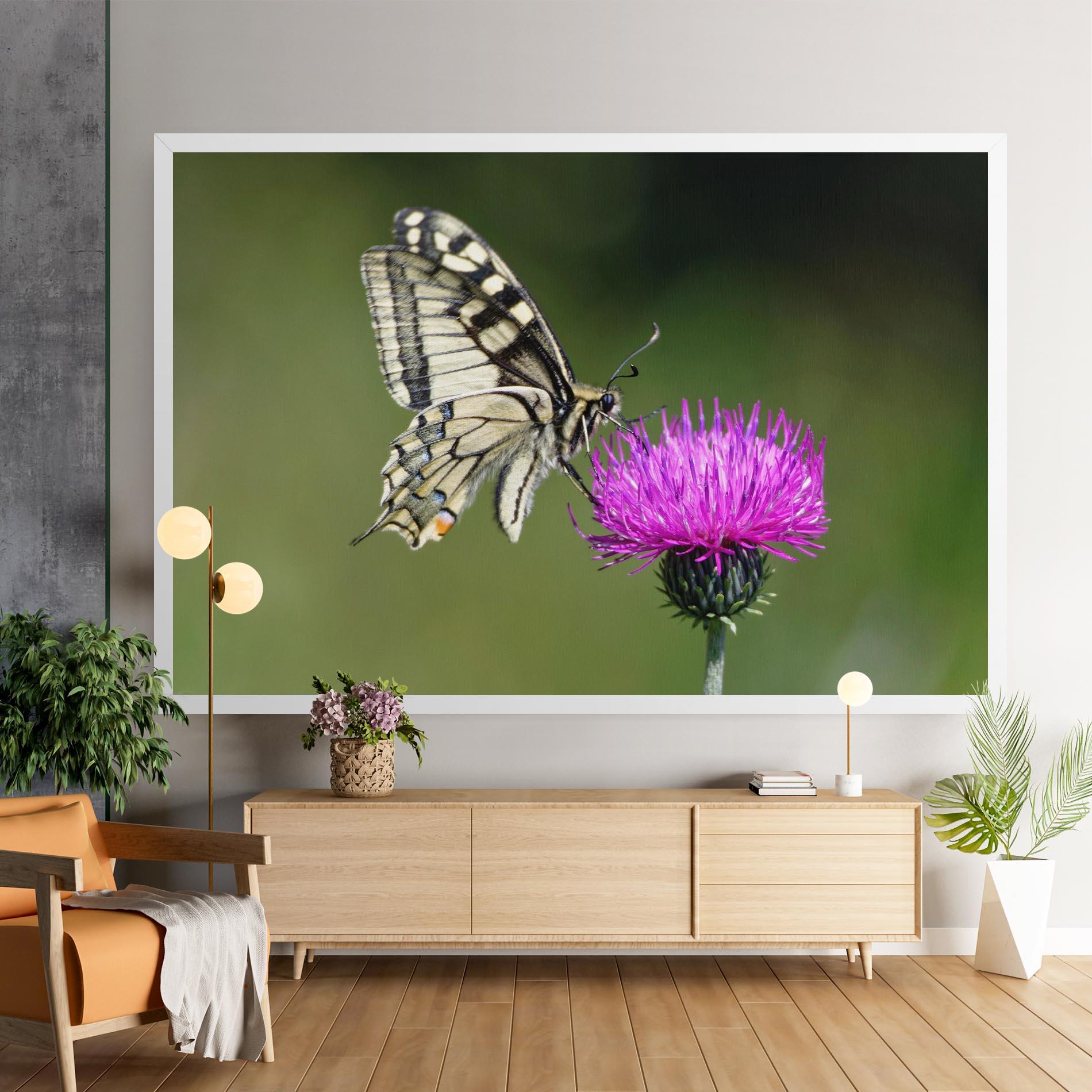 Tablou Canvas White Butterfly Pollen mockup 9