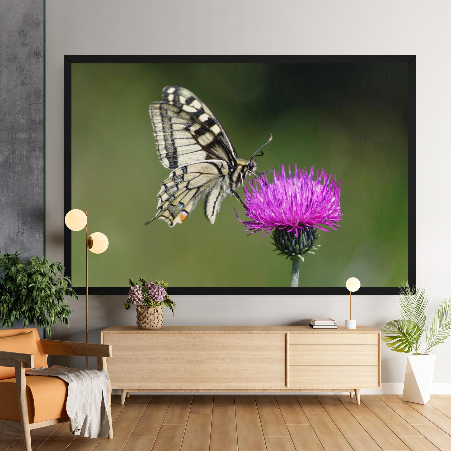 Tablou Canvas White Butterfly Pollen mockup 9