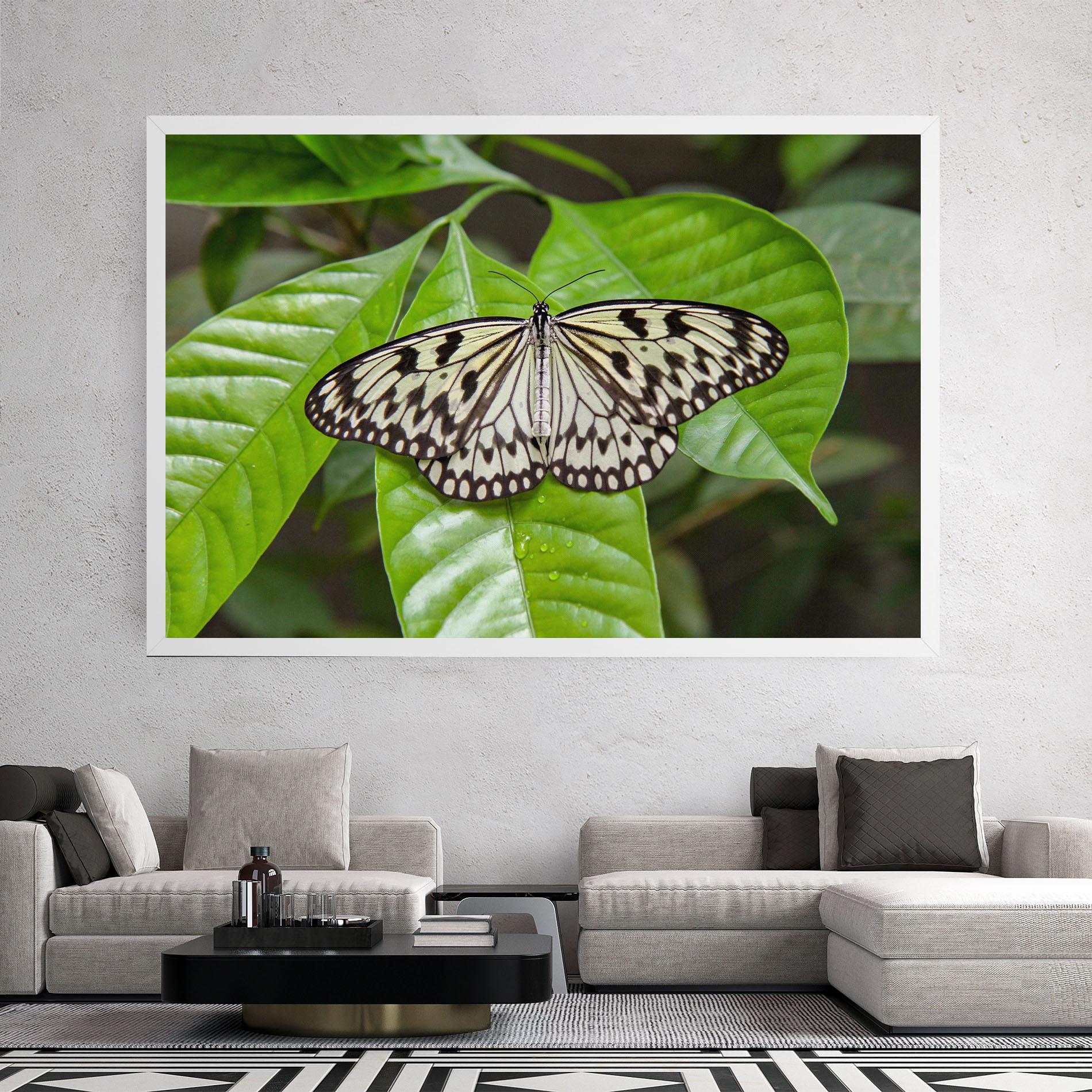 Tablou Canvas Beautiful White Butterfly mockup 2