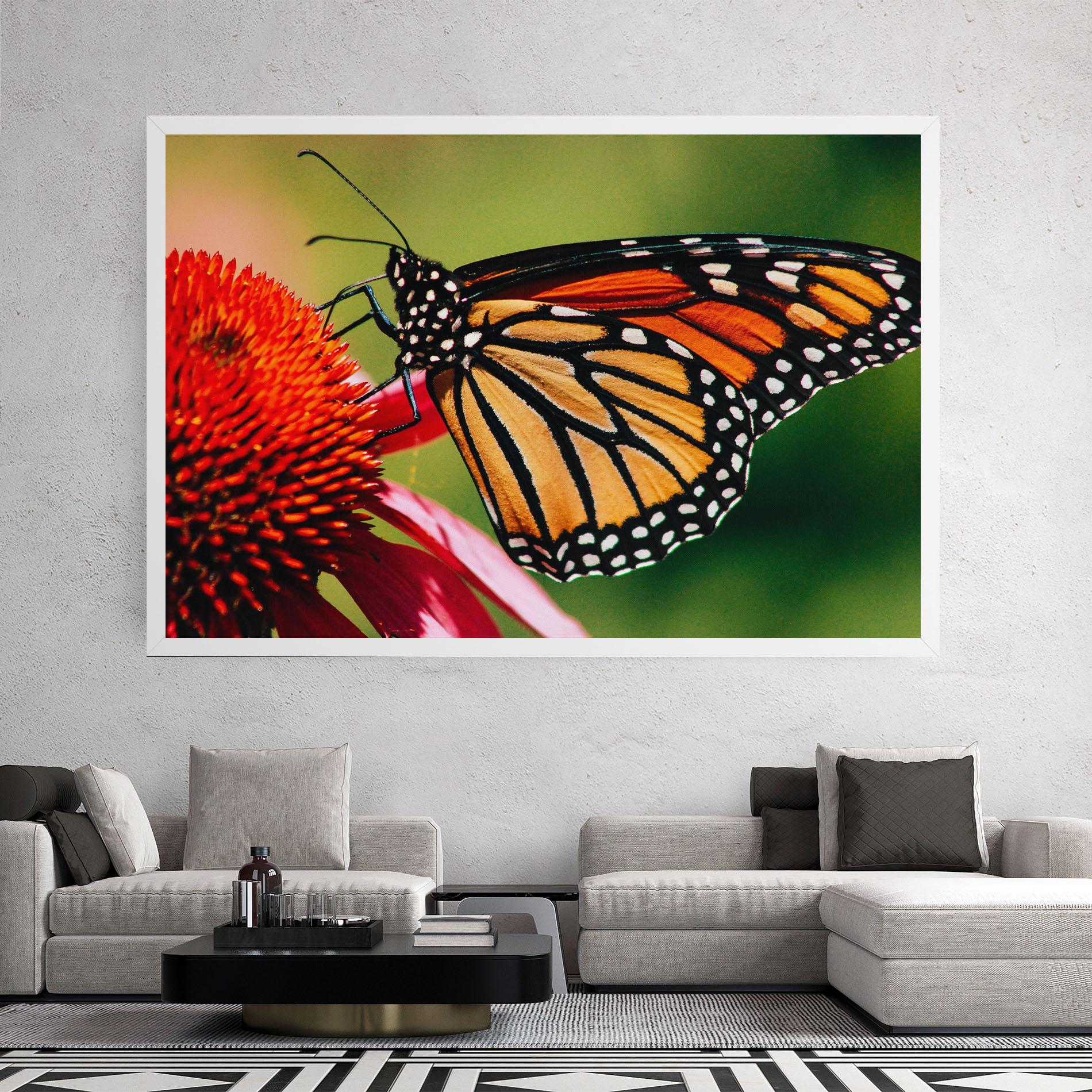 Tablou Canvas Big Orange Butterfly mockup 2