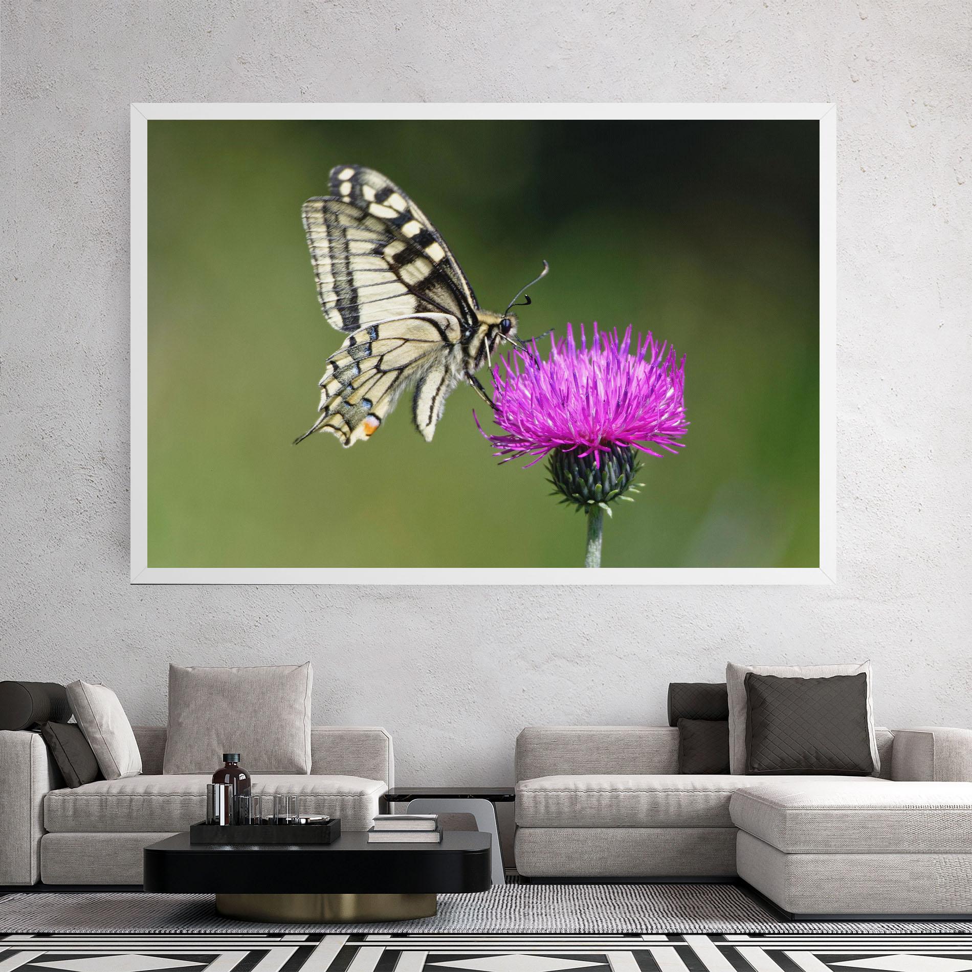 Tablou Canvas White Butterfly Pollen mockup 2