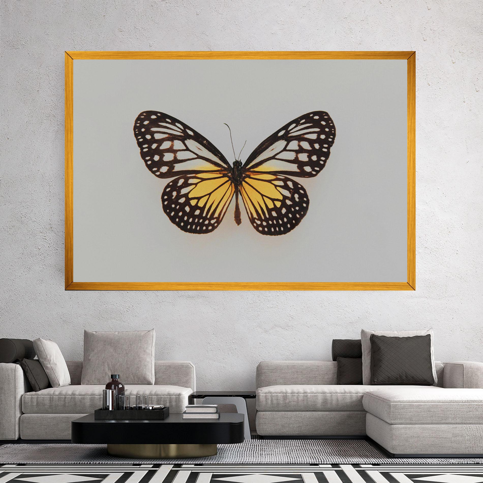 Tablou Canvas Butterfly On Grey mockup 2