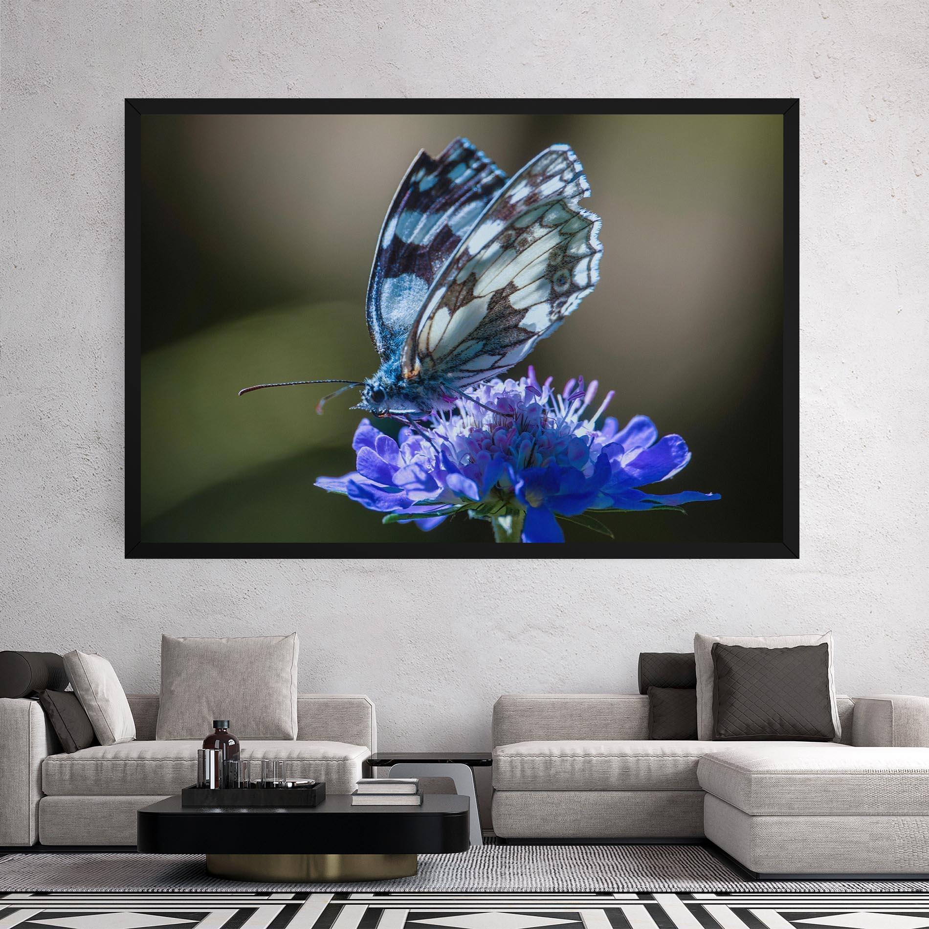 Tablou Canvas Blue Butterfly In Nature mockup 2