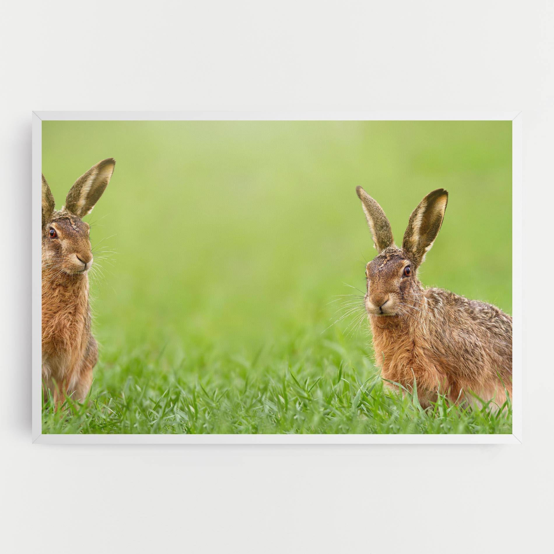 Tablou Canvas Brown Hares mockup 0