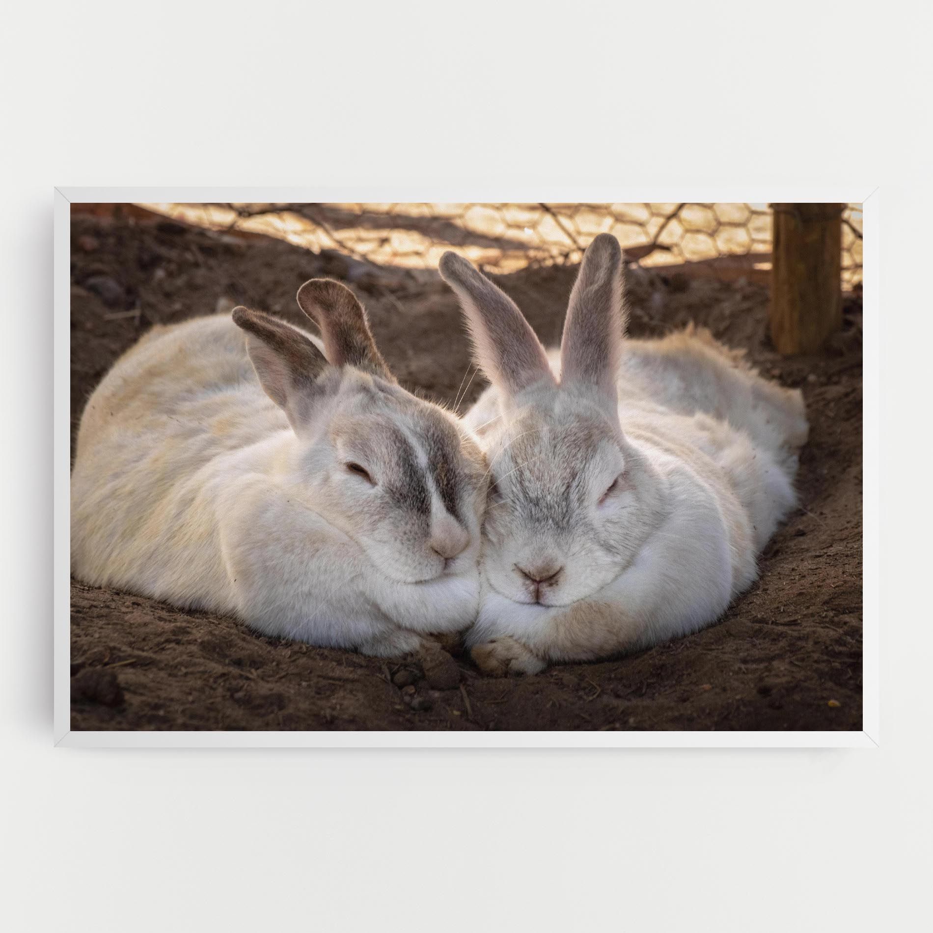 Light Grey Bunny Sleeping mockup 0