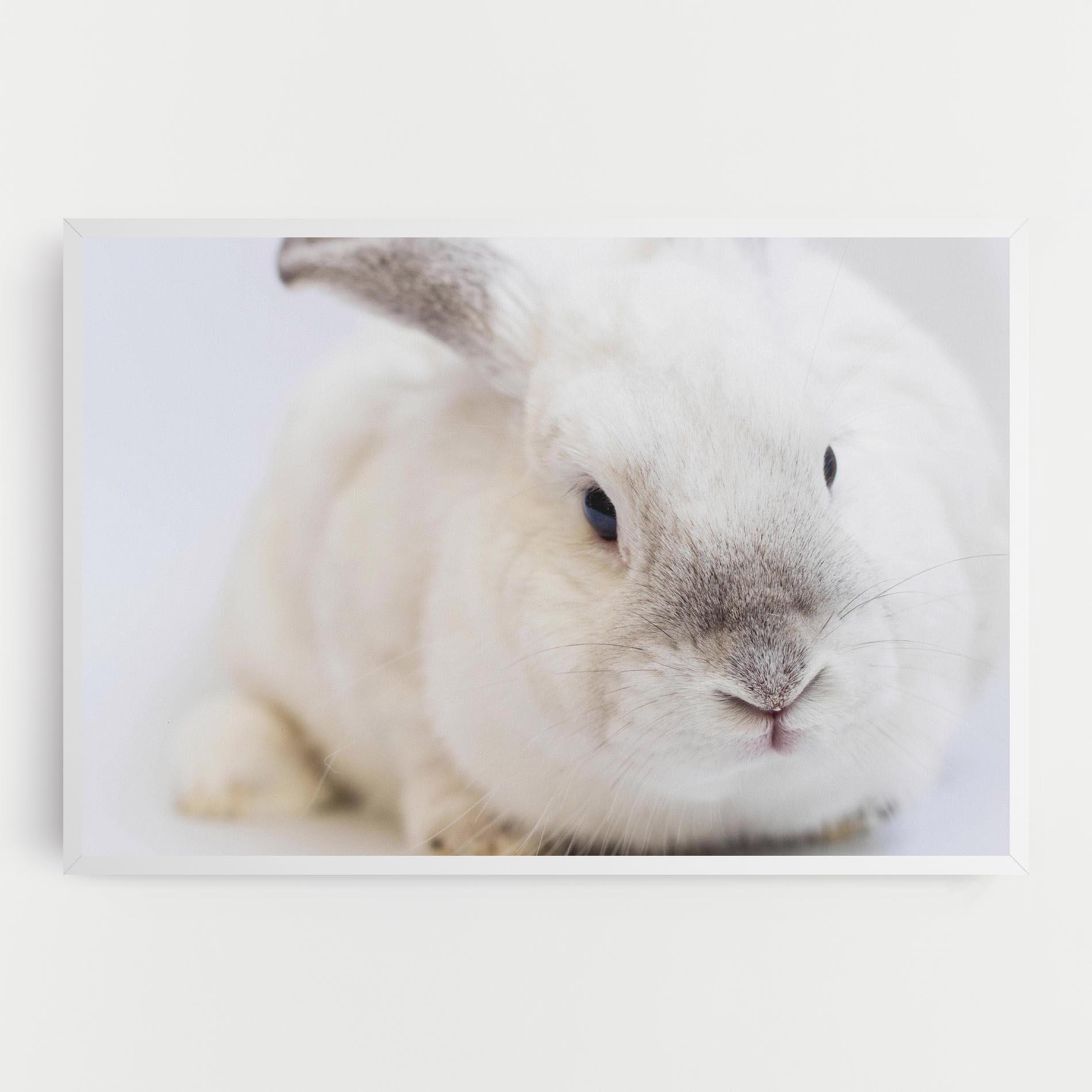 Tablou Canvas Light Grey Bunny mockup 0