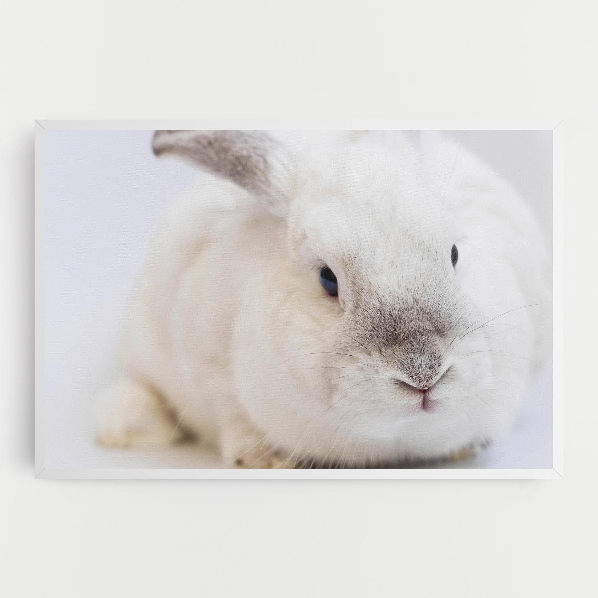 Light Grey Bunny mockup 0
