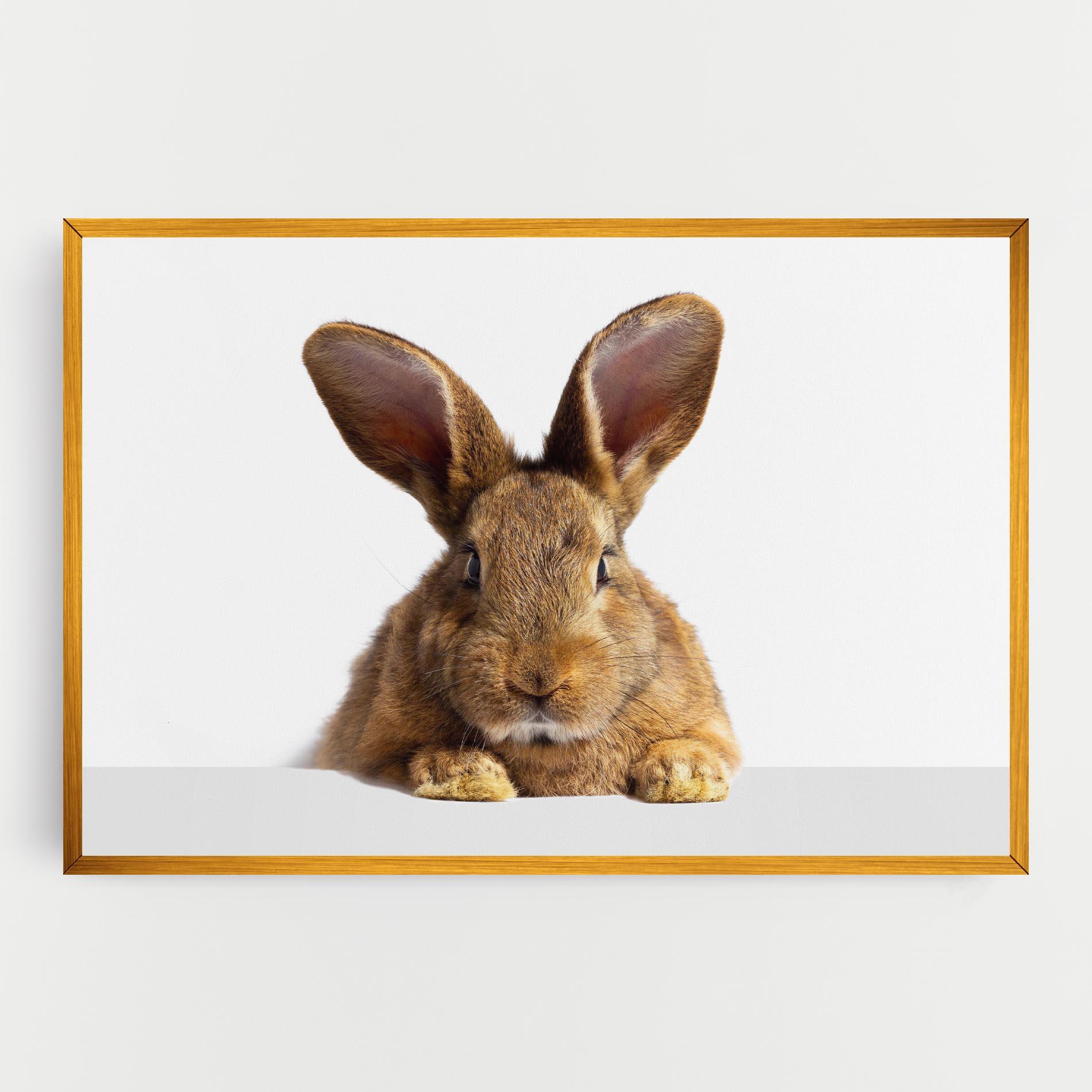 Tablou Canvas Brown Cute Bunny mockup 0