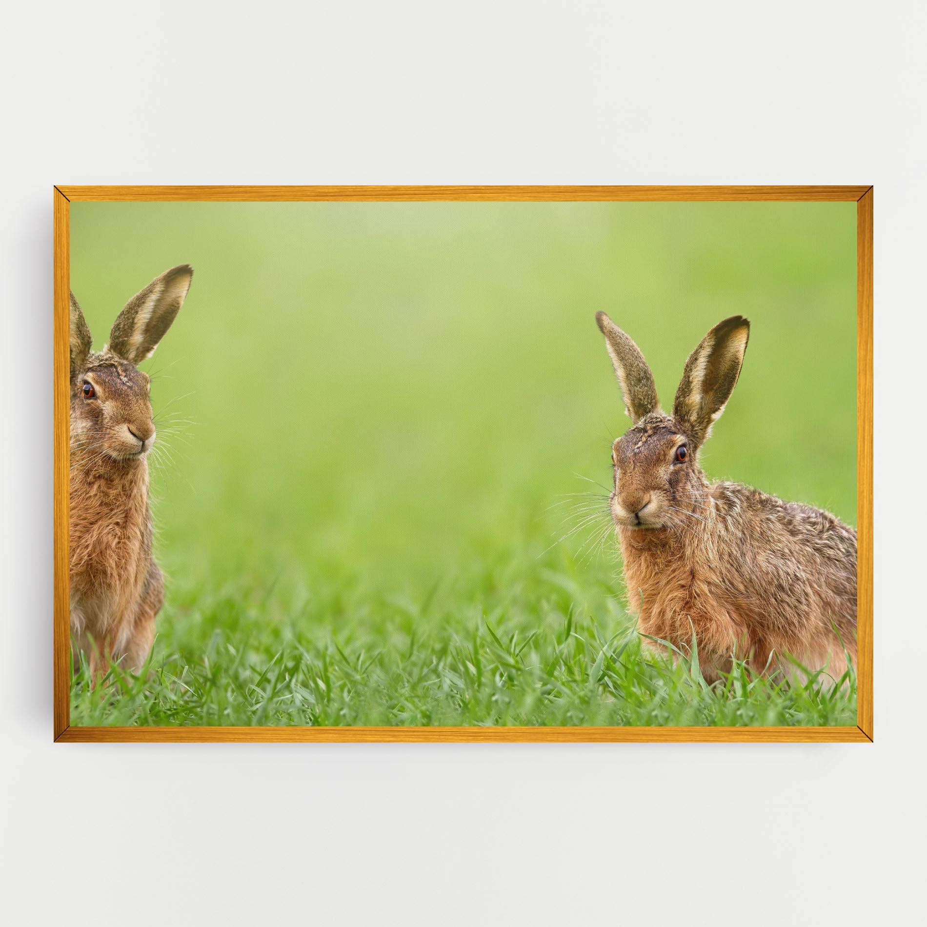 Tablou Canvas Brown Hares mockup 0