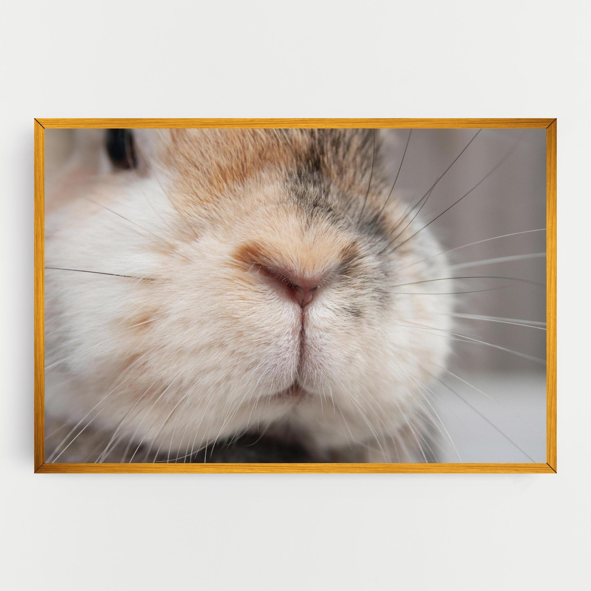 Tablou Canvas Close Up Bunny mockup 0