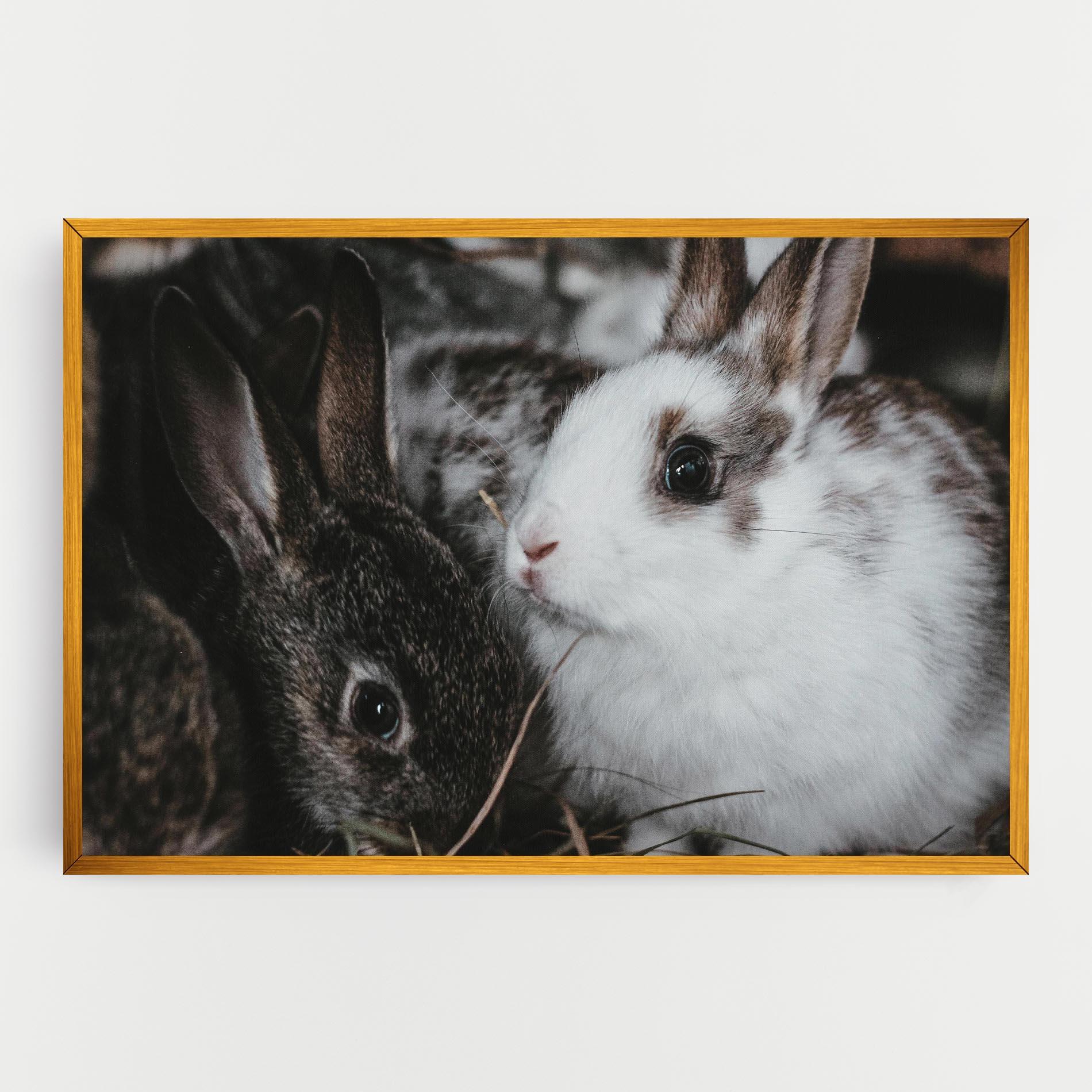 Tablou Canvas Cute Small Rabbit mockup 0