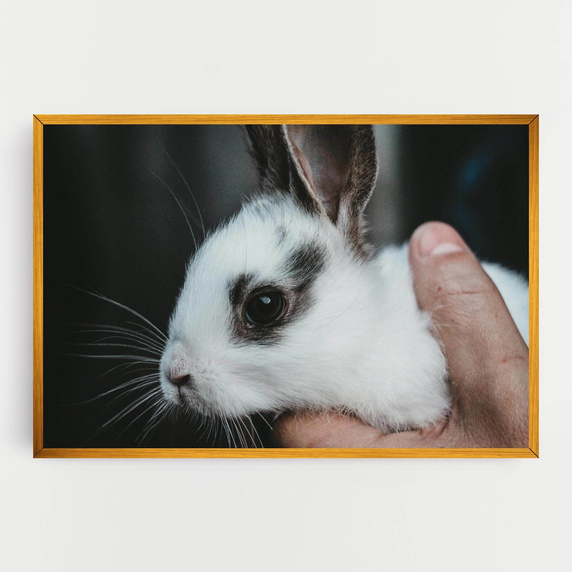 Tablou Canvas Holding Cute Bunny mockup 0