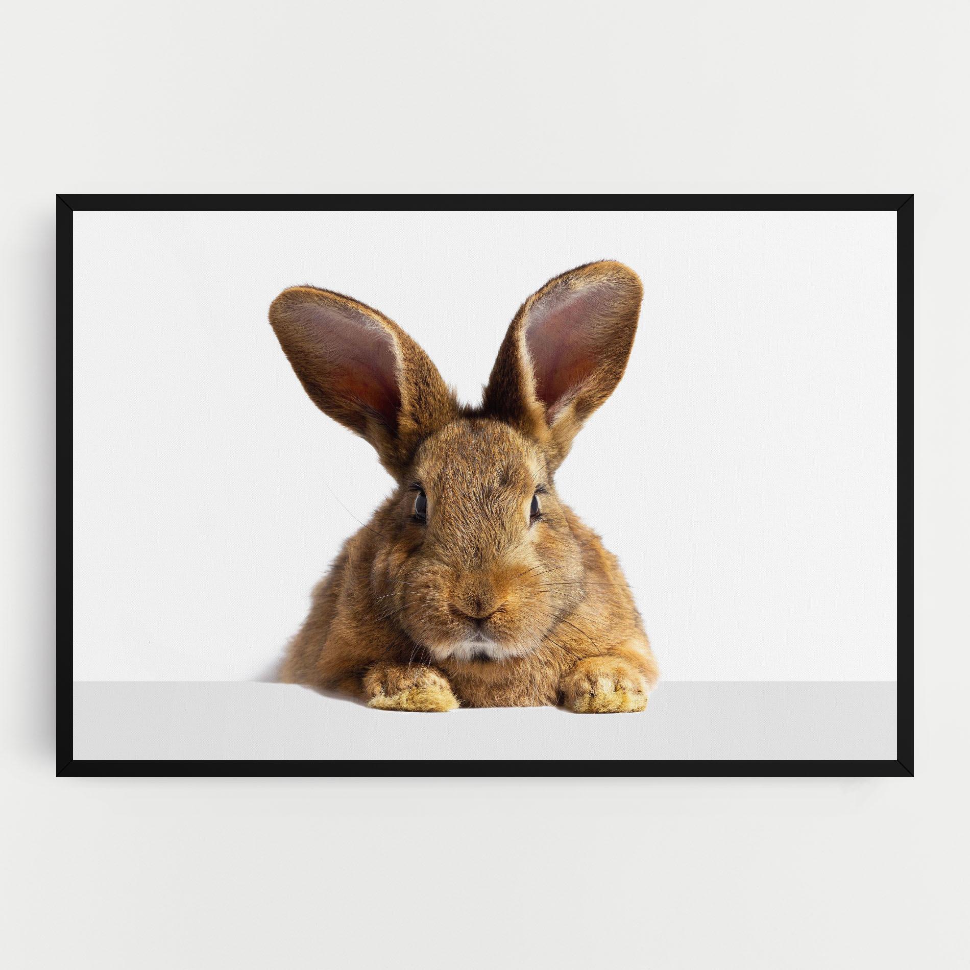 Tablou Canvas Brown Cute Bunny mockup 0