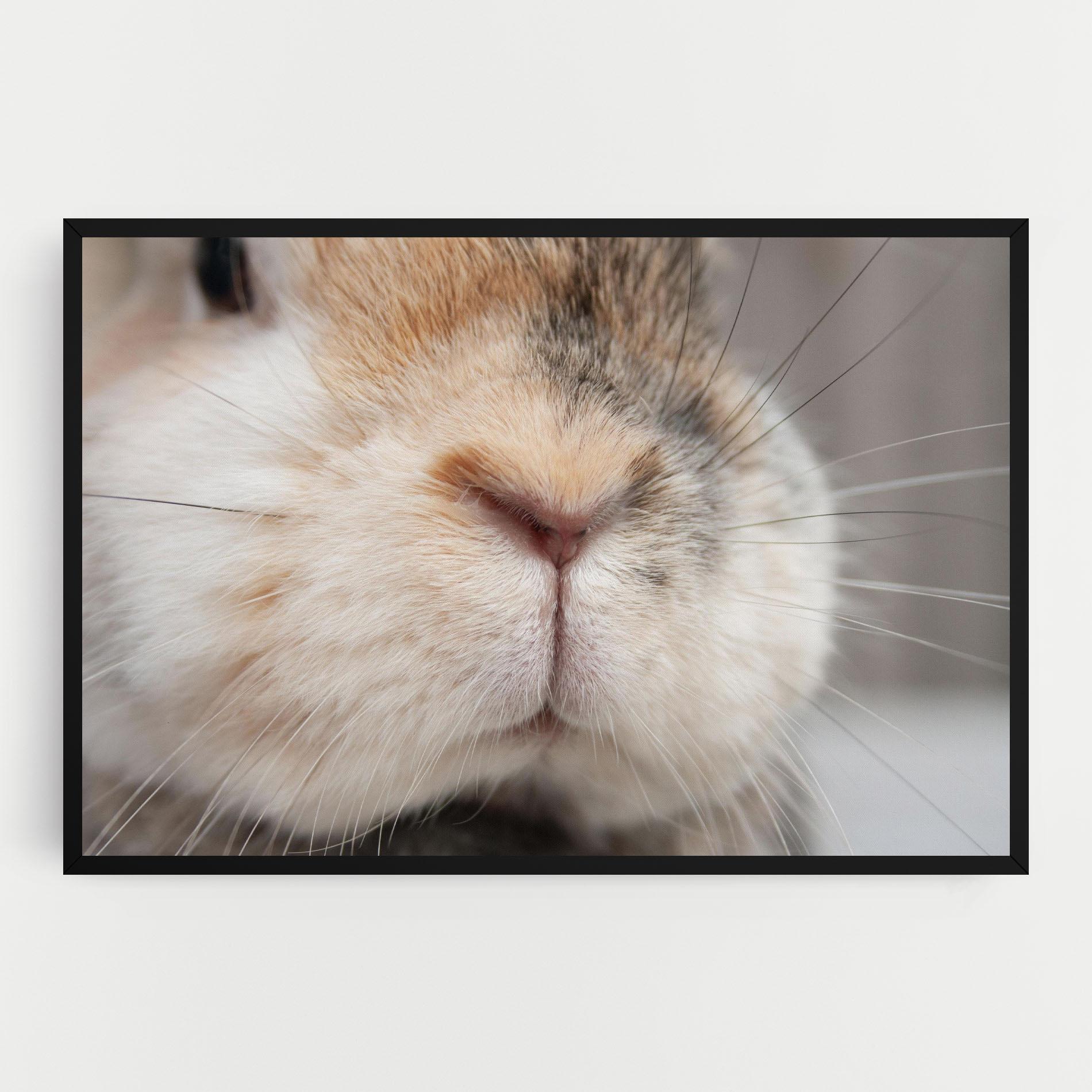 Tablou Canvas Close Up Bunny mockup 0