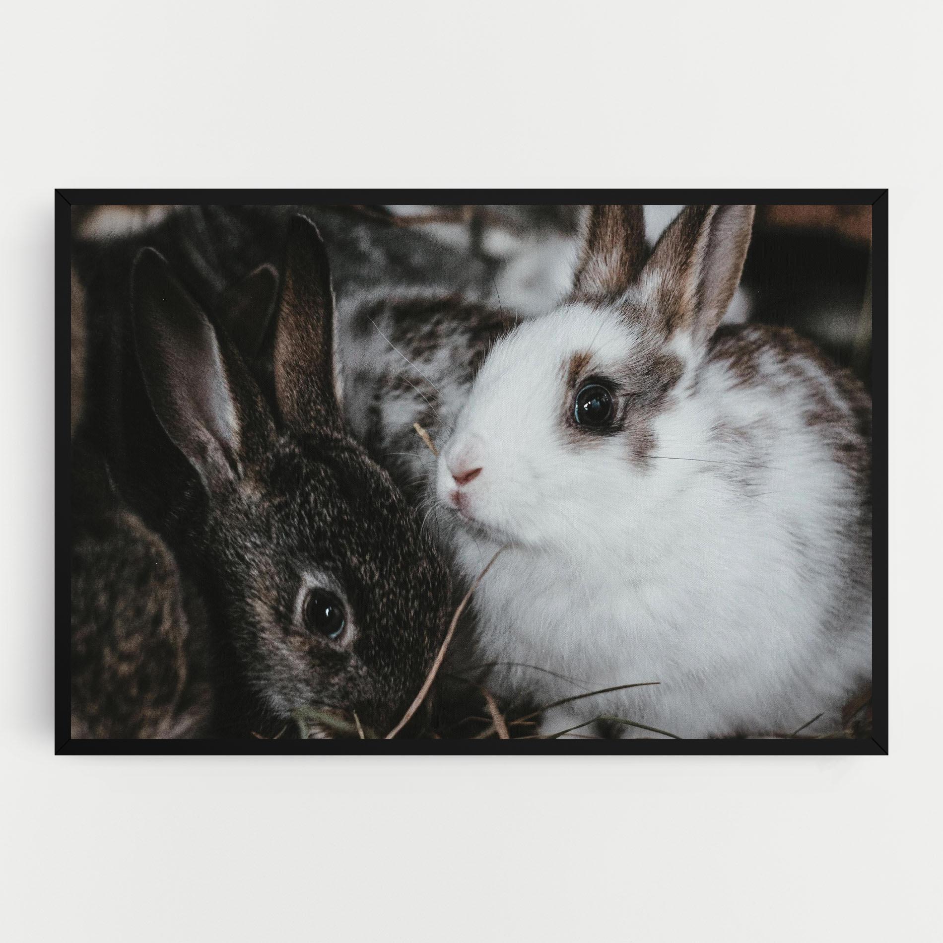 Tablou Canvas Cute Small Rabbit mockup 0