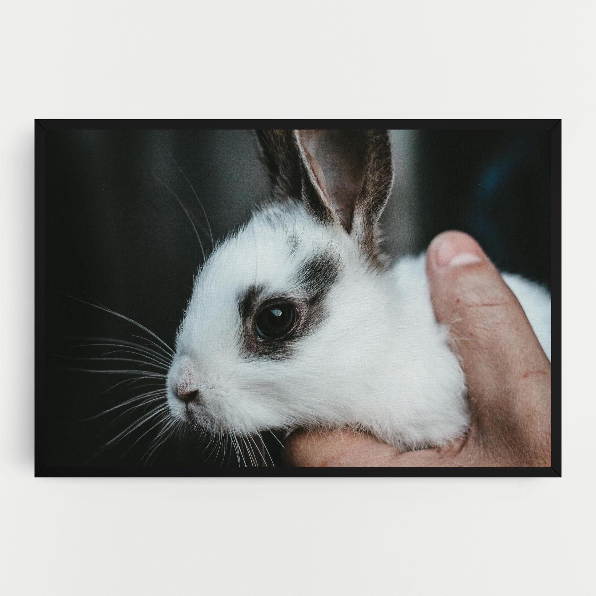 Tablou Canvas Holding Cute Bunny mockup 0