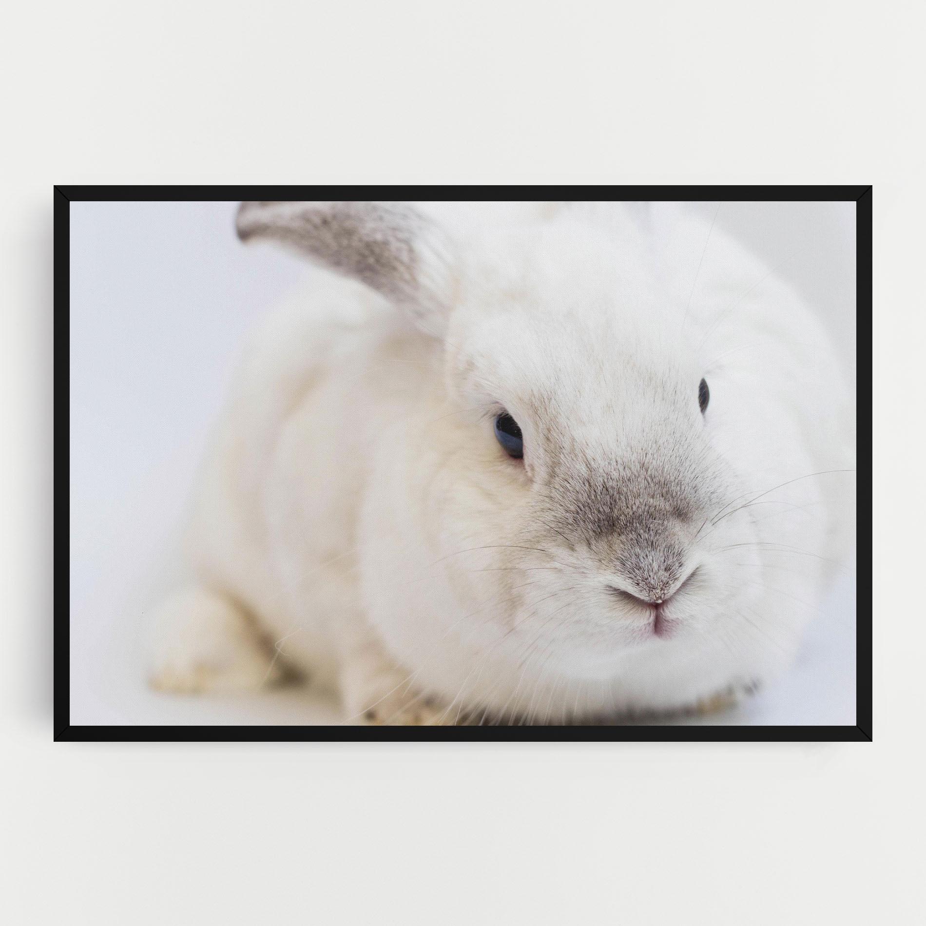 Tablou Canvas Light Grey Bunny mockup 0