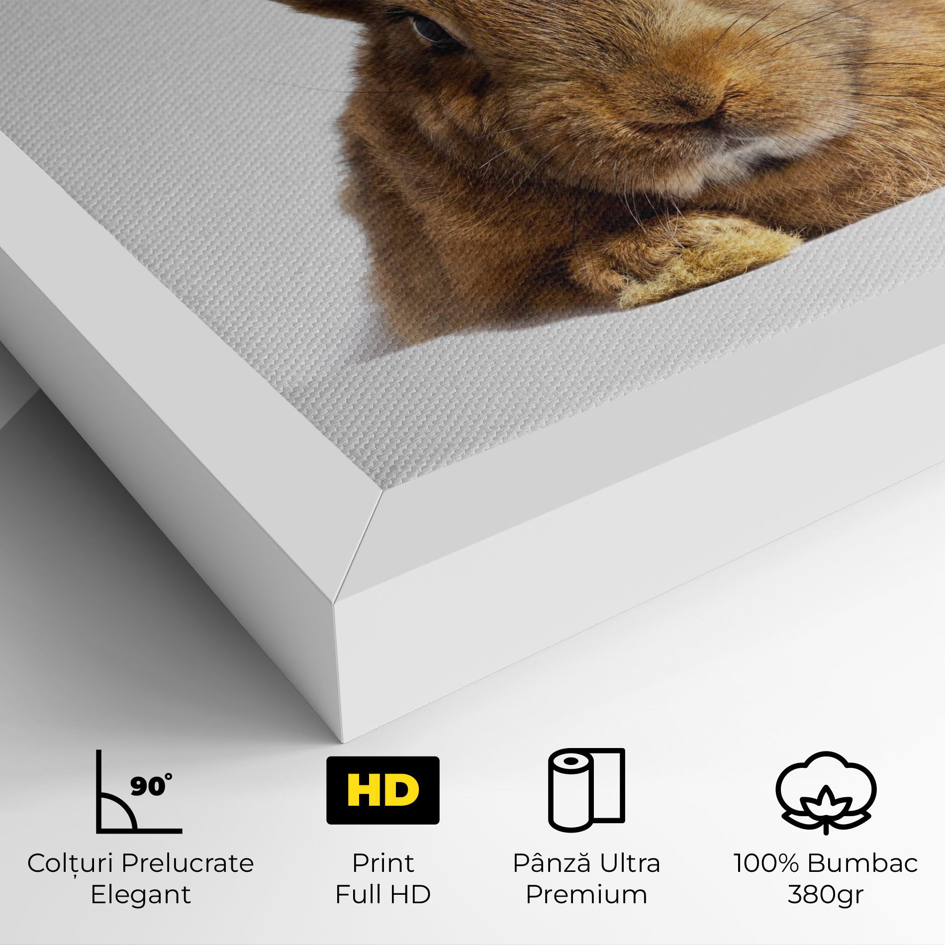 Brown Cute Bunny mockup 4