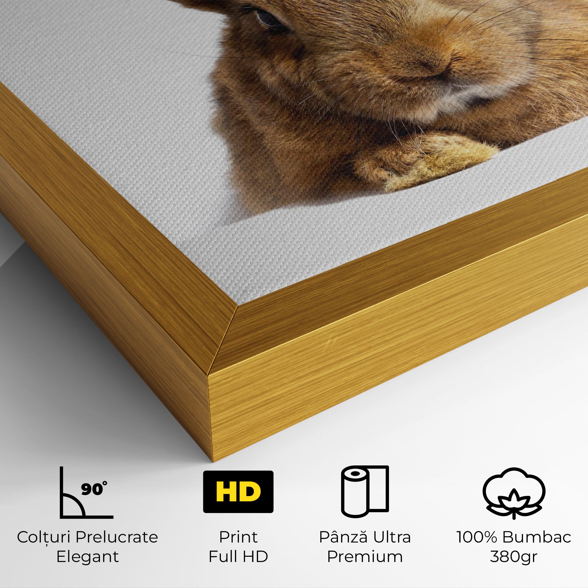 Brown Cute Bunny mockup 4