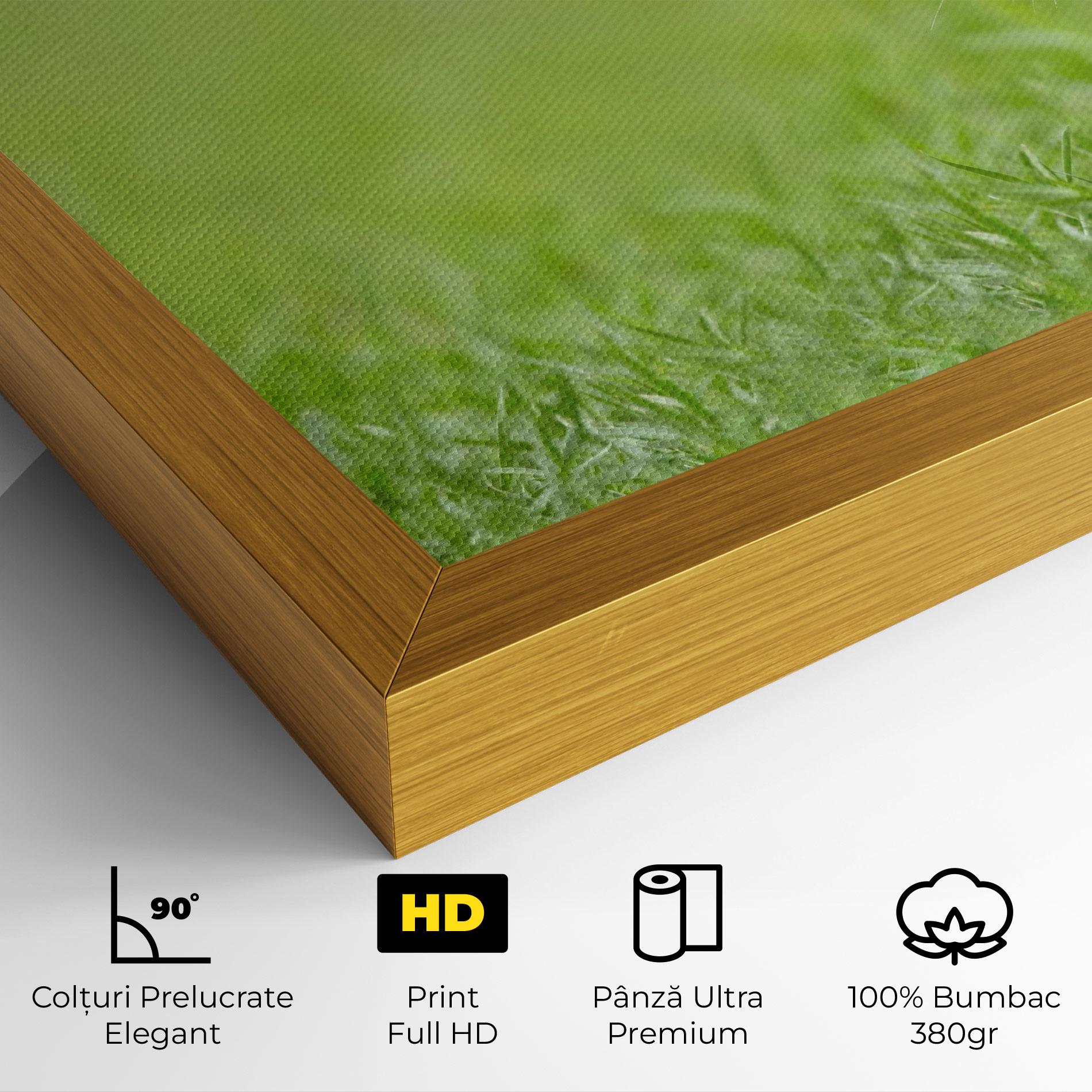 Tablou Canvas Brown Hares mockup 4